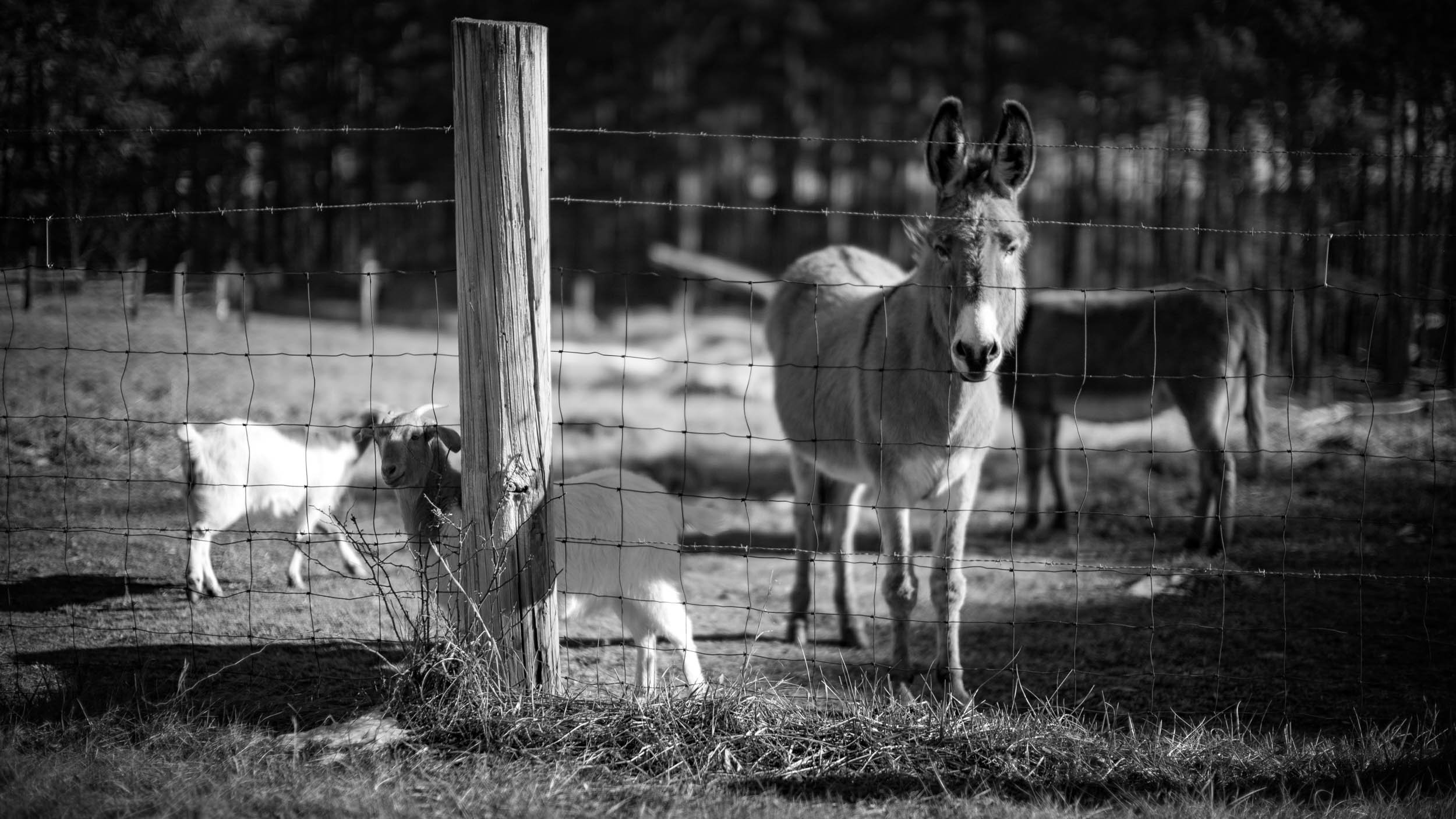 091-3858-2600-3177-L1063353-180118-Doug Coulter.jpg