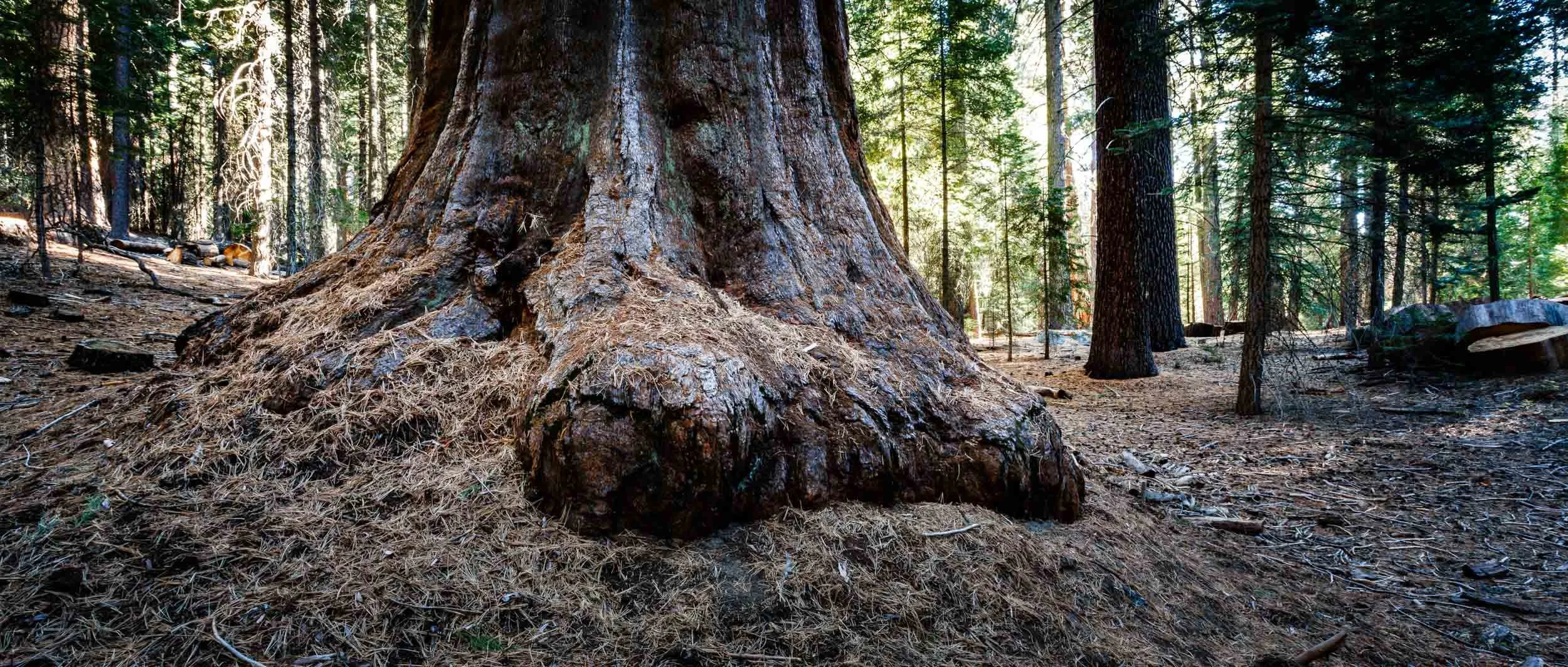 060-275-526-1872-0076-_4DK1118-071107-Doug Coulter-2-2.jpg