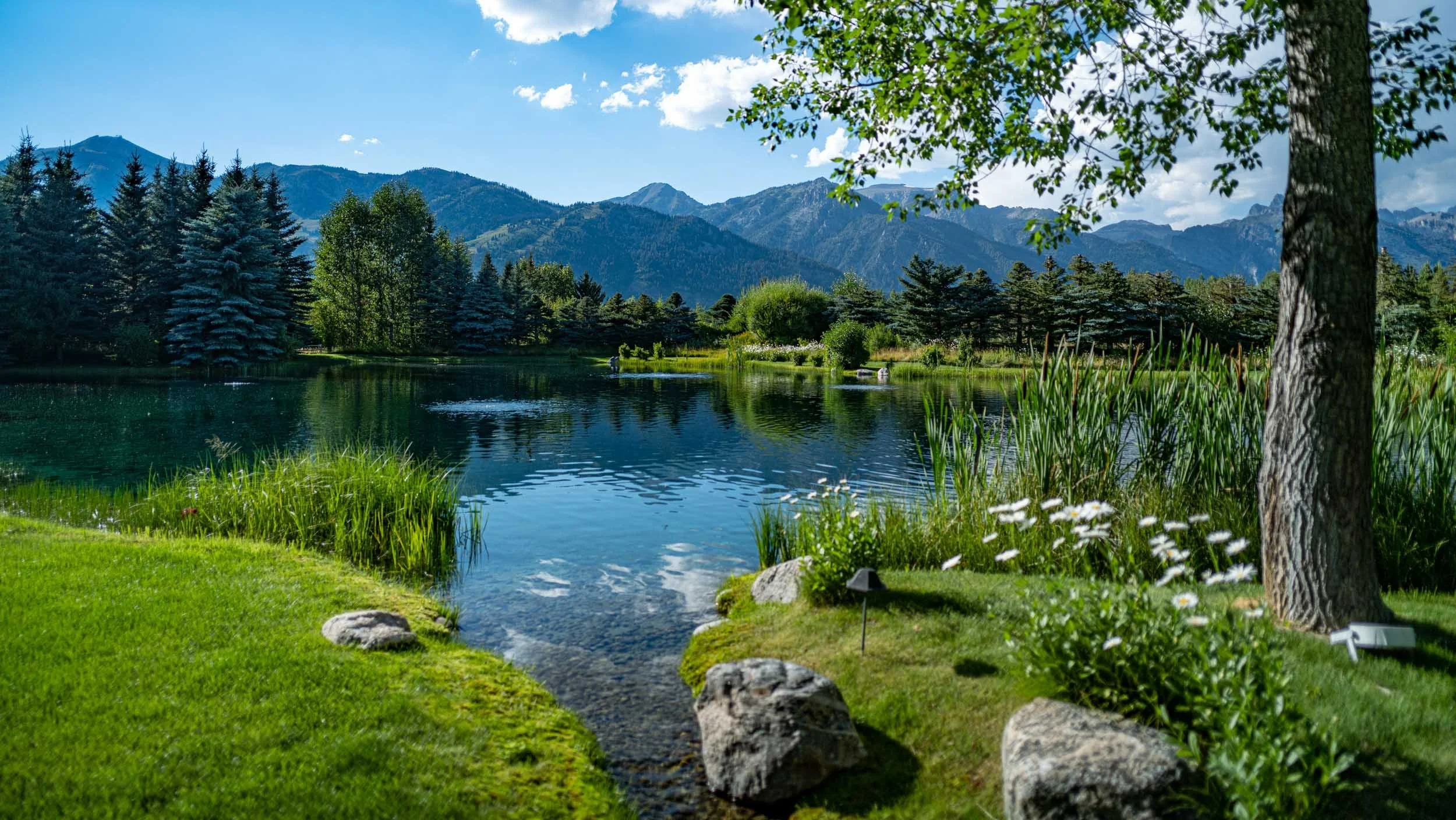 170-393-234-0621-5482-S1020429-220816-Doug Coulter-2.jpg