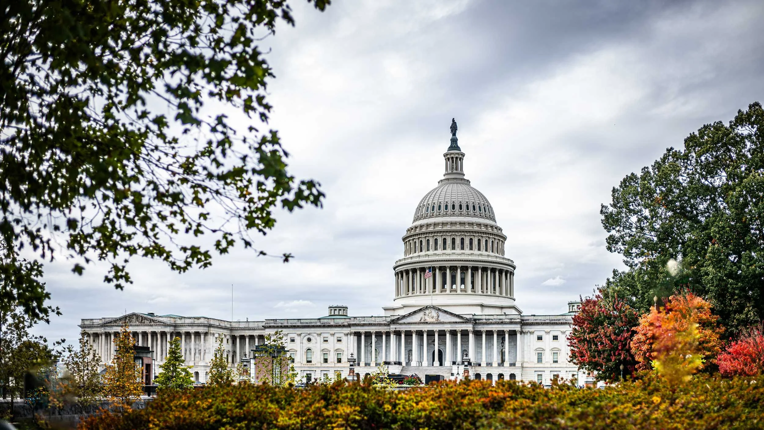 4024-7089-S3110931-251029-Doug Coulter-2-2.jpg