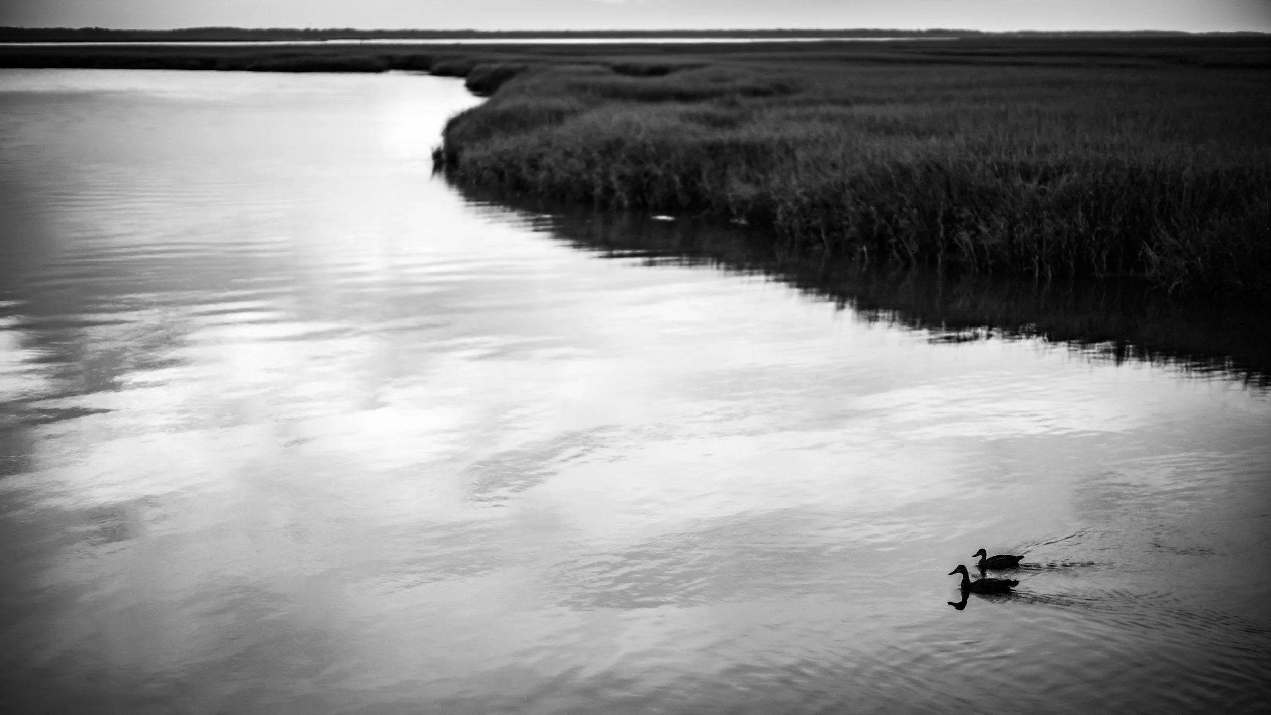 073-068-307-6464-1473-2073-150527-DouglasCoulter-150527-Doug Coulter-2.jpg