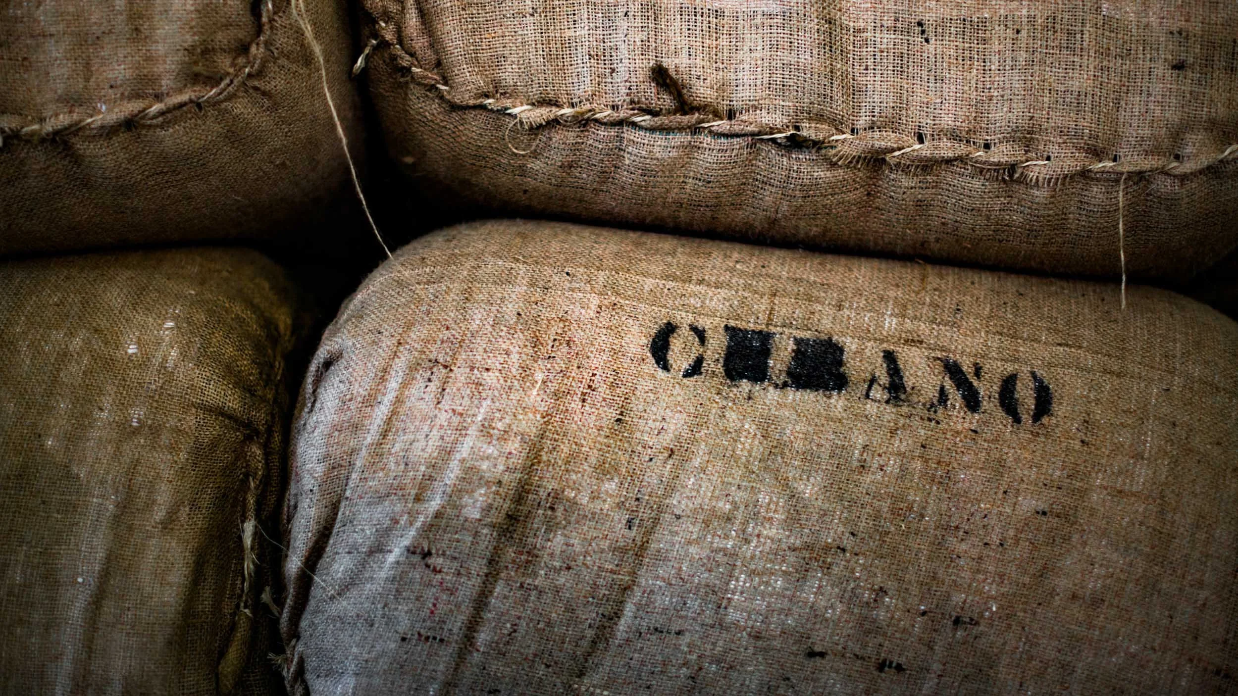 120-5049-0661-938-120220-DouglasCoulter-120220-Doug Coulter.jpg