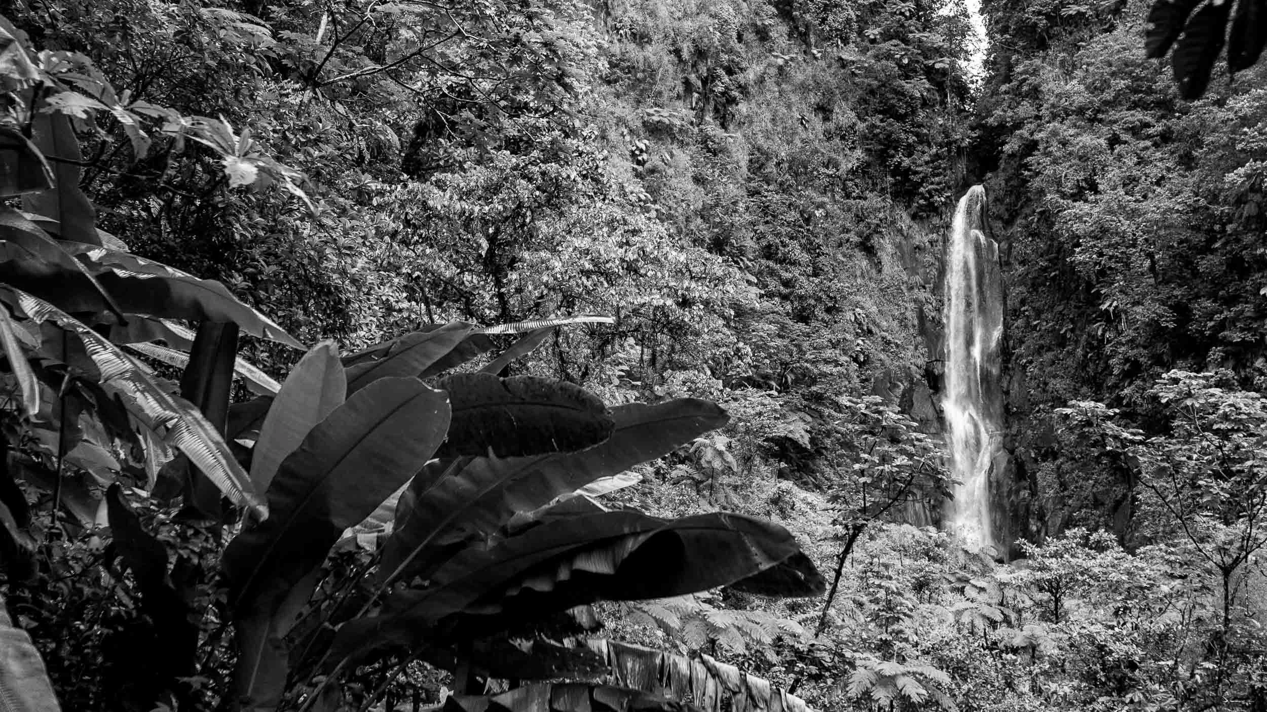 2709-0365-766-_DCP5708-101230-Doug Coulter-2.jpg