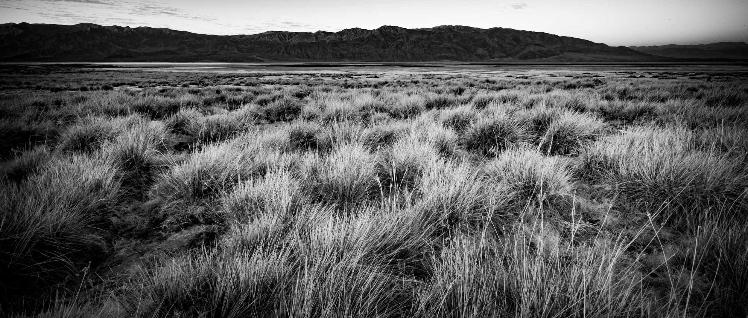 2065-0063-119-_4DK0451-071105-Doug Coulter-2.jpg