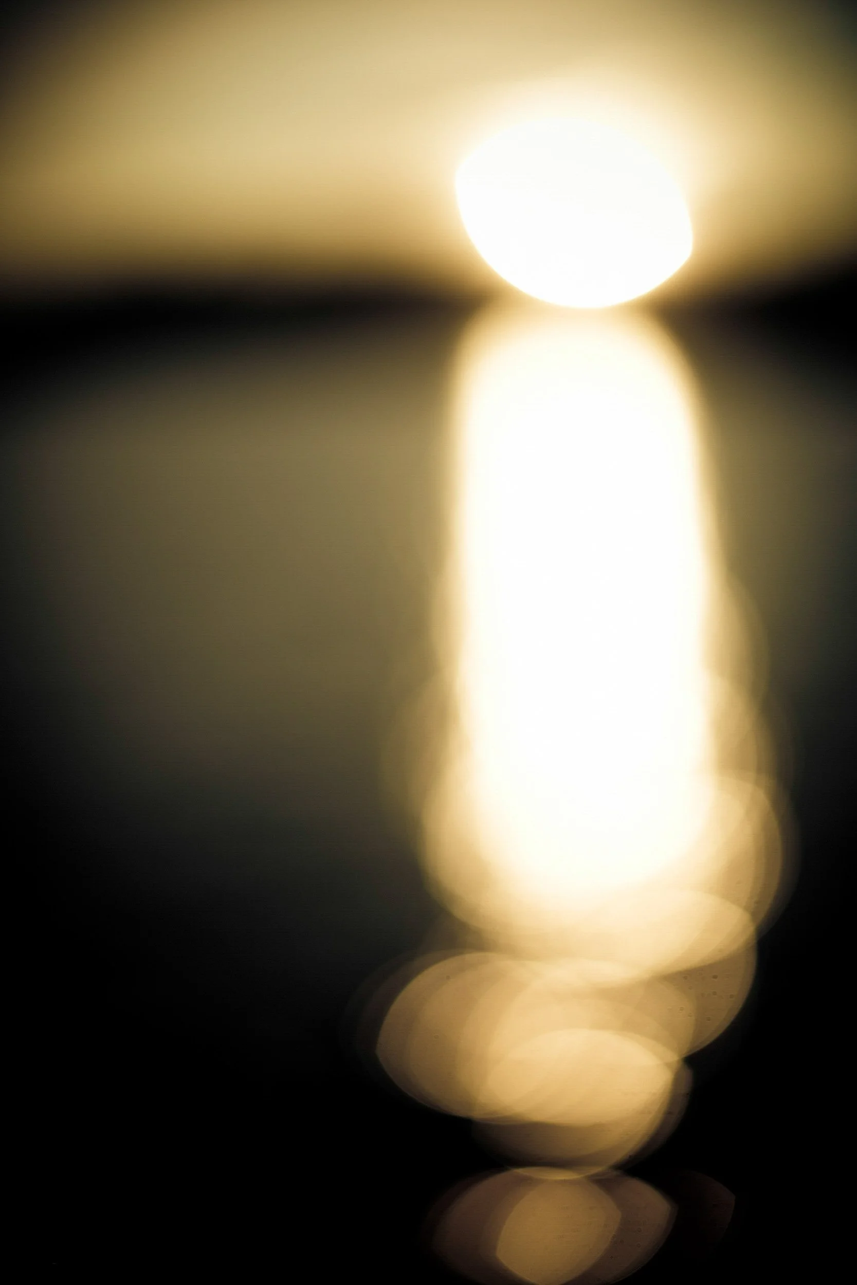 158-526-183-5693-3031-384-LS&S-124-180129-Doug Coulter-2.jpg