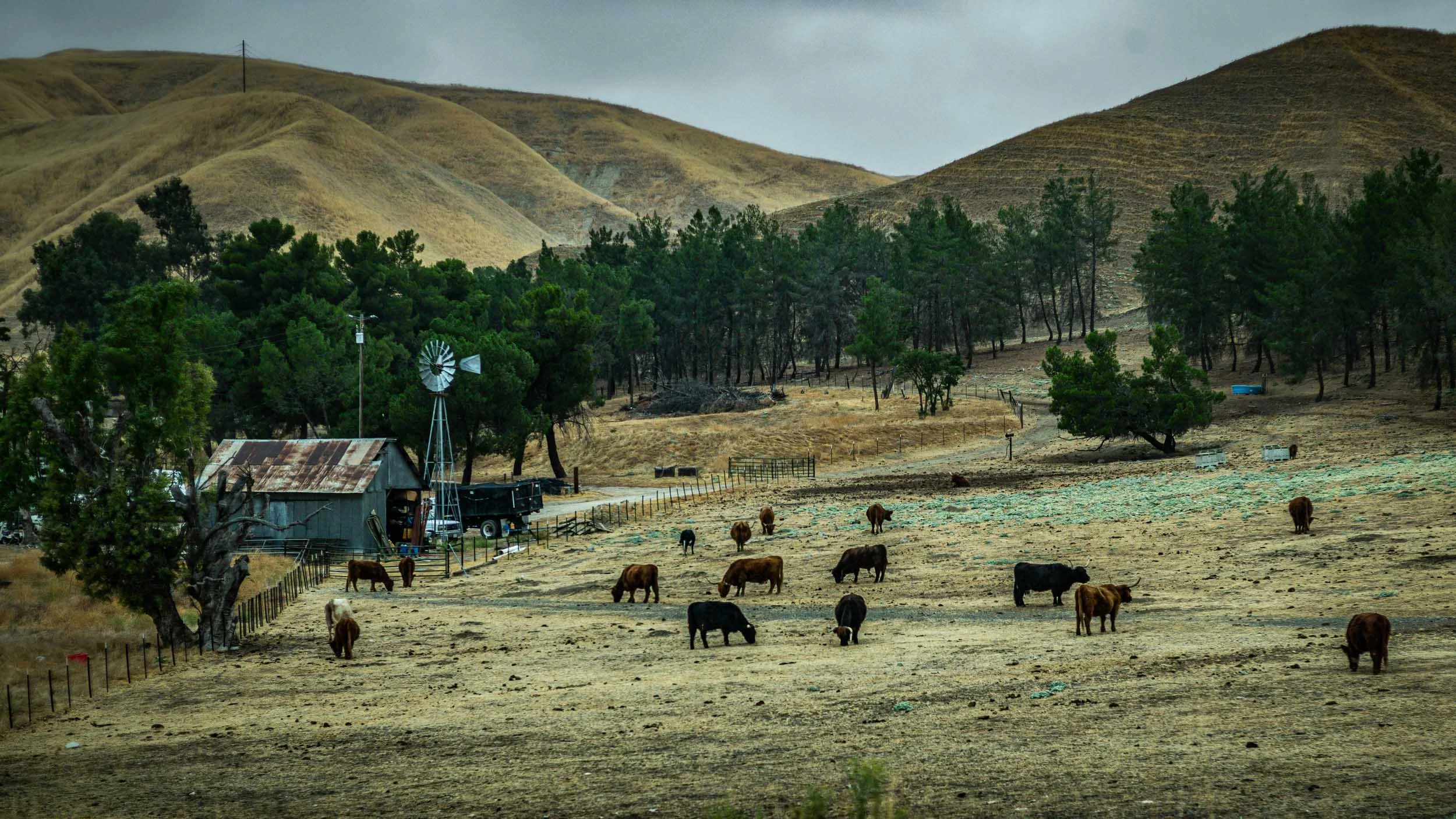 137-348-140-1551-5783-L1008113-230902-Doug Coulter-2-2.jpg