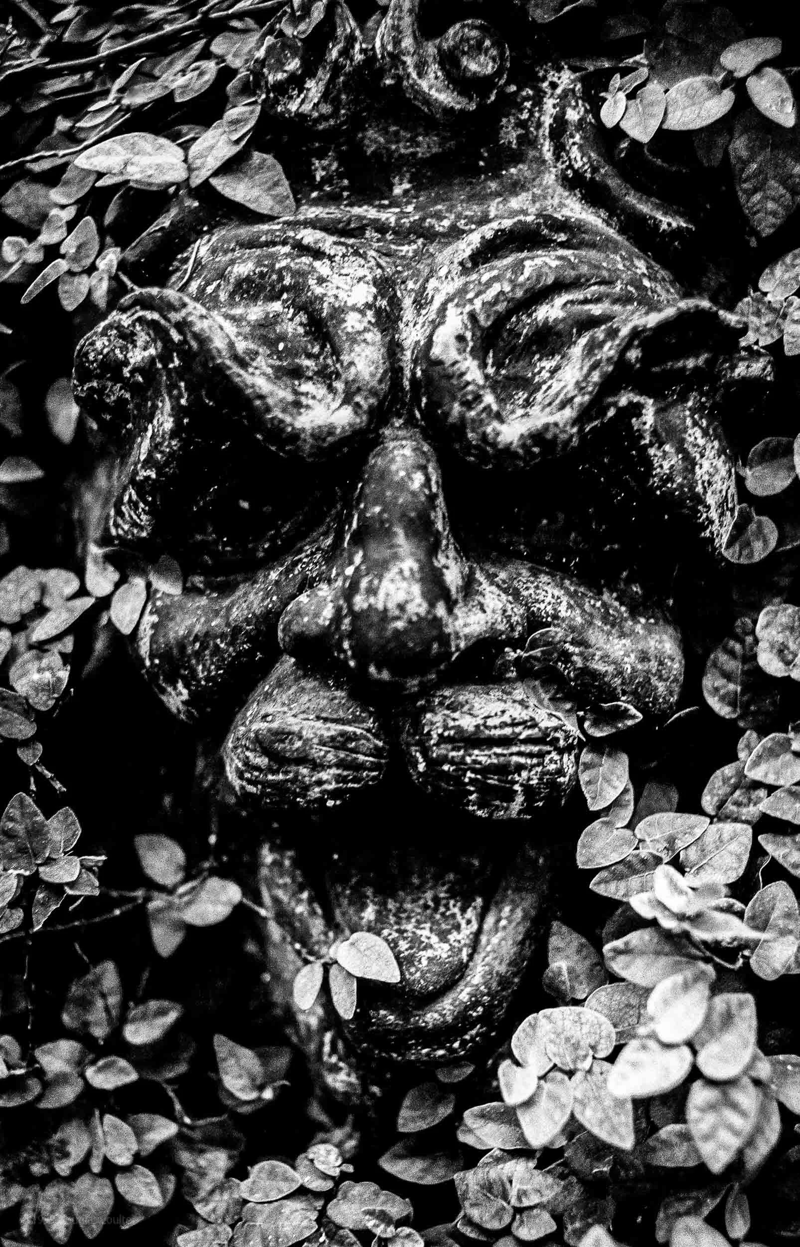 1565-2818-002-Devil in plant-2-180129-Doug Coulter-2.jpg