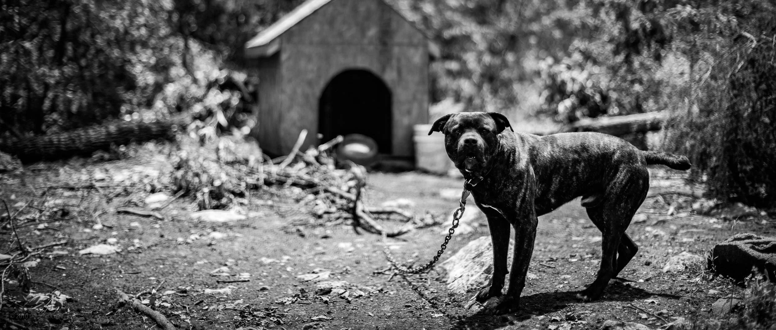 108-2212-0474-918-_DCP0395-110428-Doug Coulter.jpg