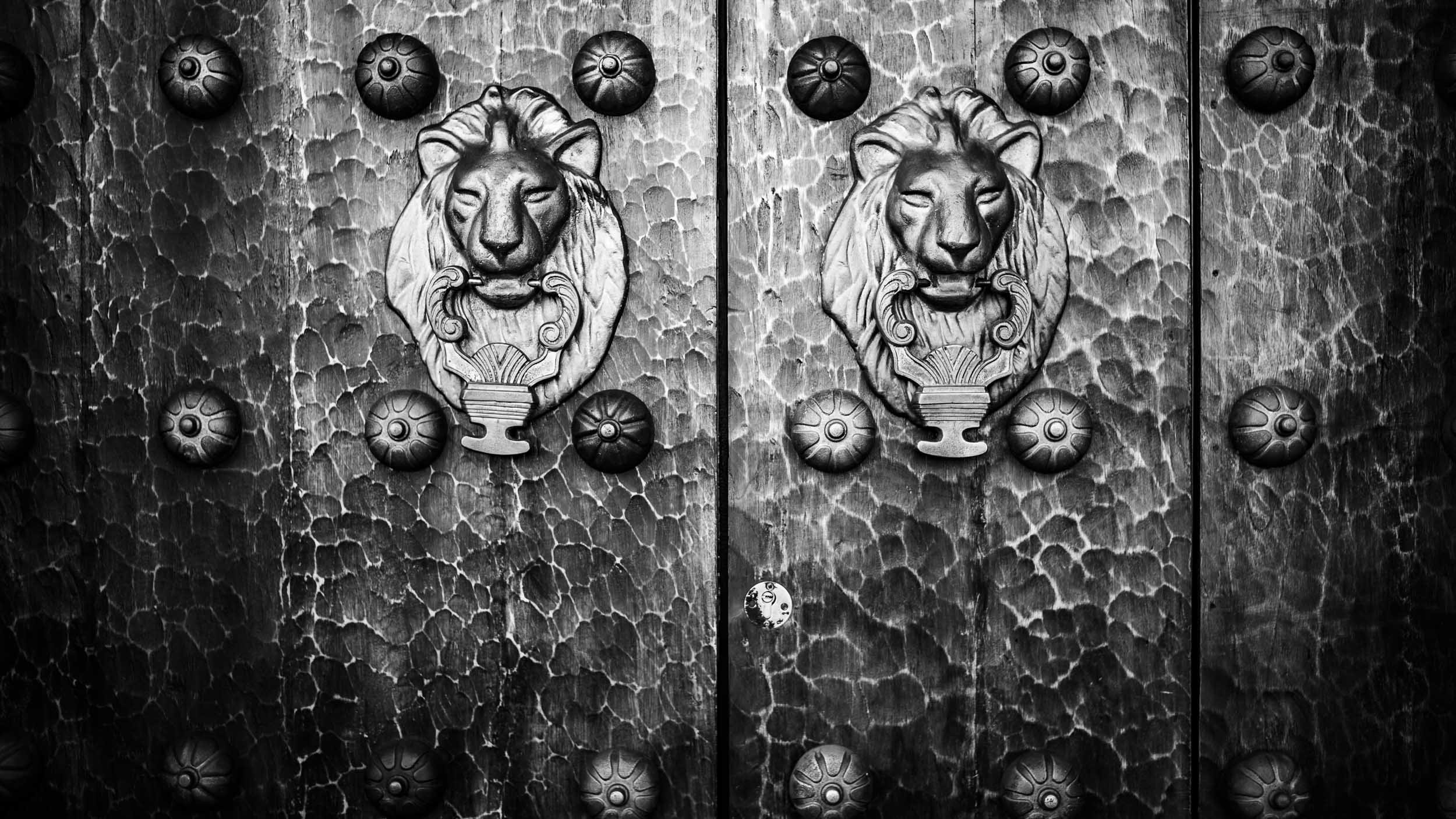 4795-4026-L1021405-191224-Doug Coulter-2-2.jpg