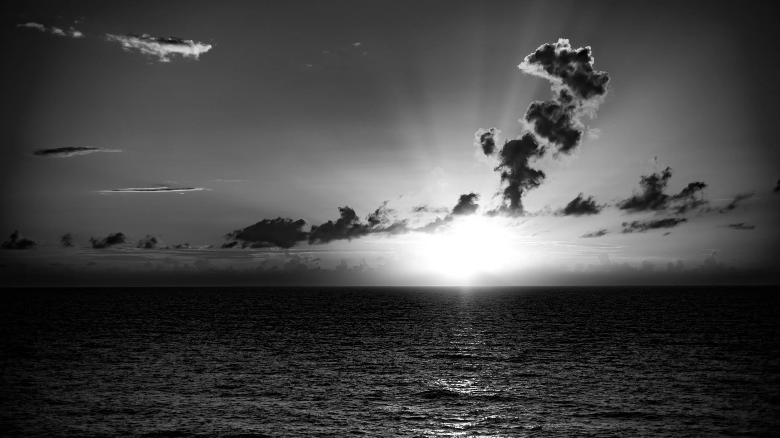 1319-1779-2323-L1036766-160104-Doug Coulter-2.jpg