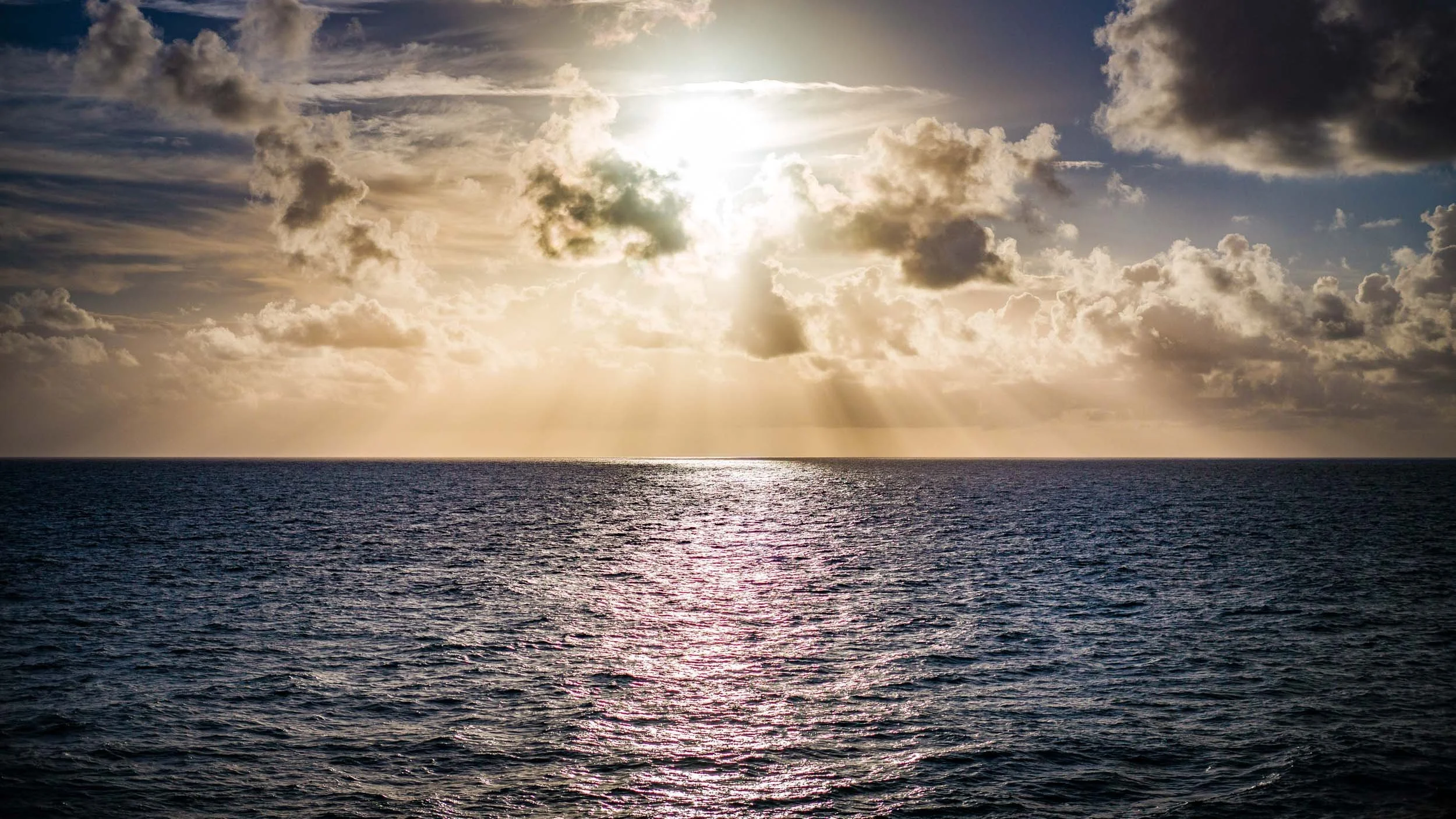 0333-1777-2499-160103-DouglasCoulter-160103-Doug Coulter-2.jpg