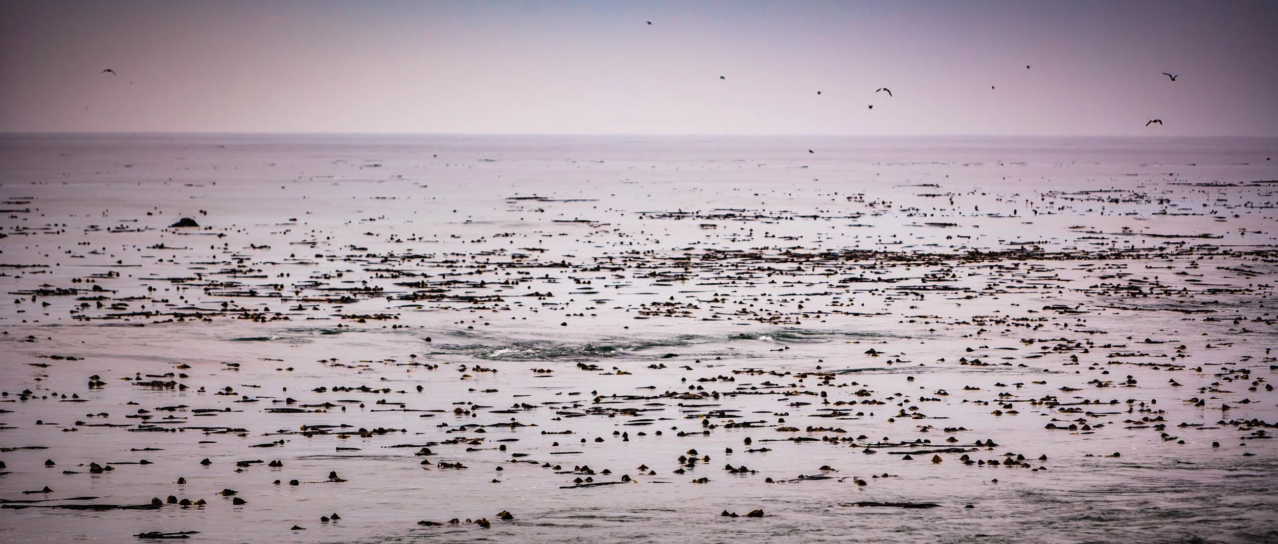 166-211-362-6319-0108-220-_4DK2559-071109-Doug Coulter-2.jpg