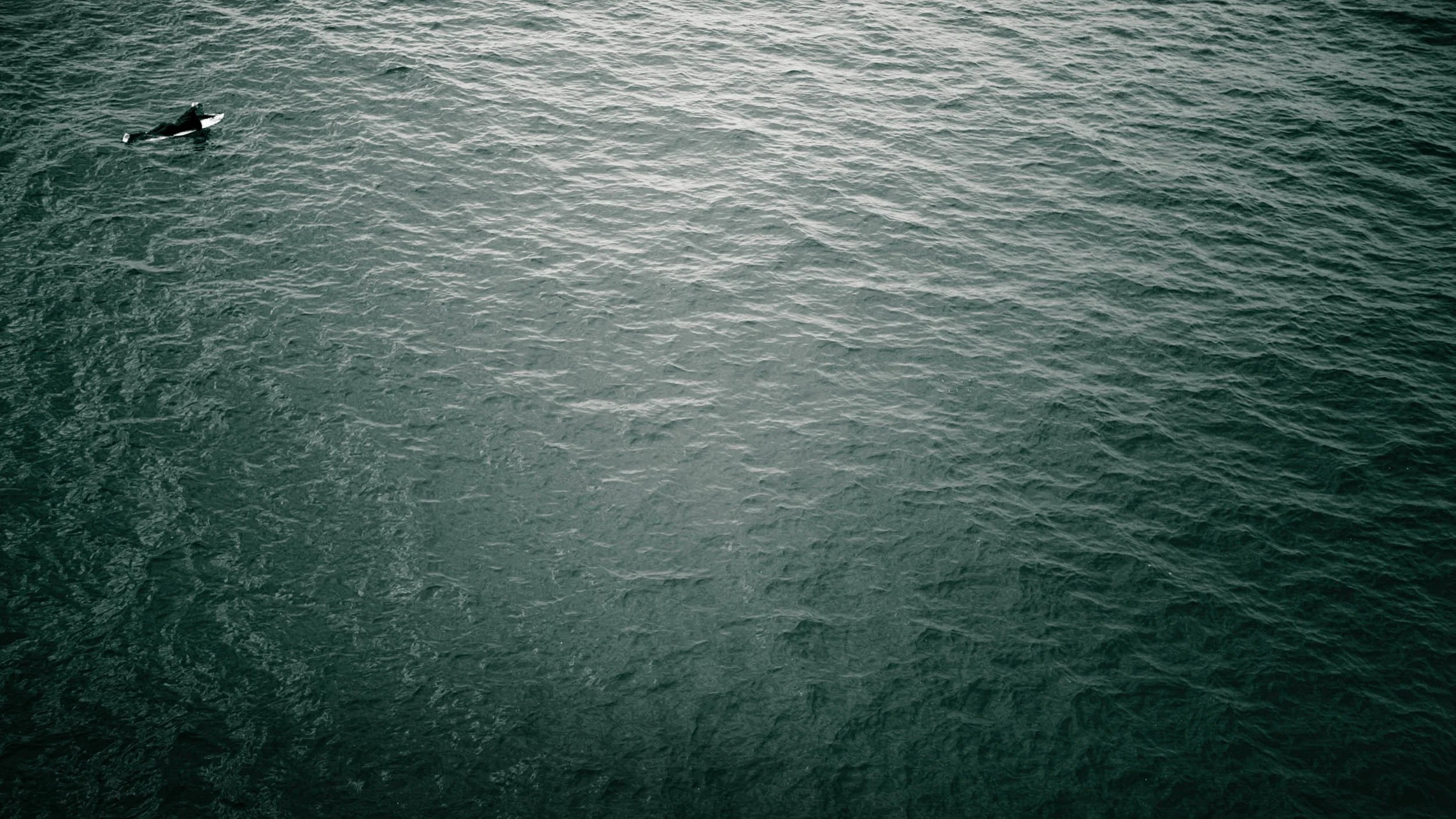 050-3562-3052-487-LS&S-134-180129-Doug Coulter-2.jpg