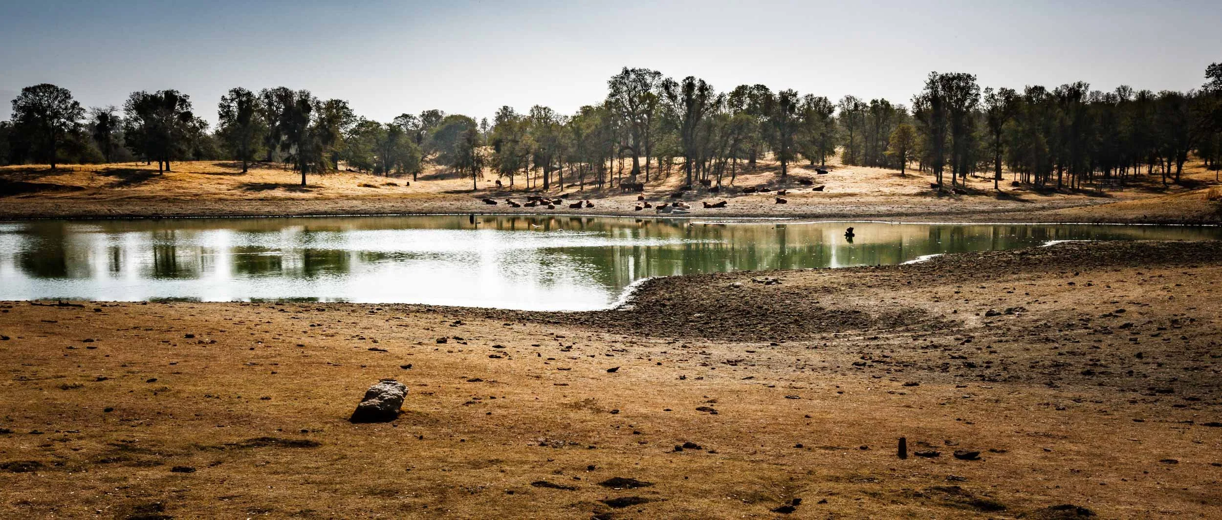 124-220-021-4971-0079-_4DK1231-071107-Doug Coulter-2-2.jpg