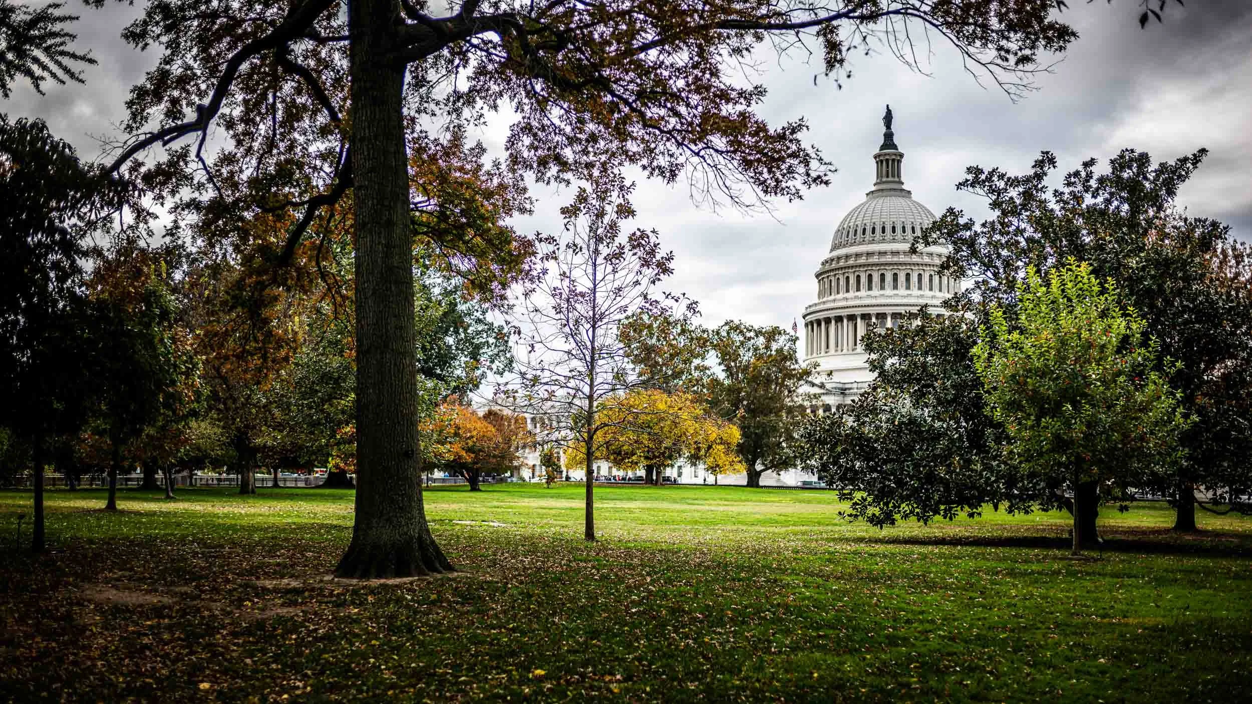 1687-7087-S3110914-251029-Doug Coulter-2-2.jpg