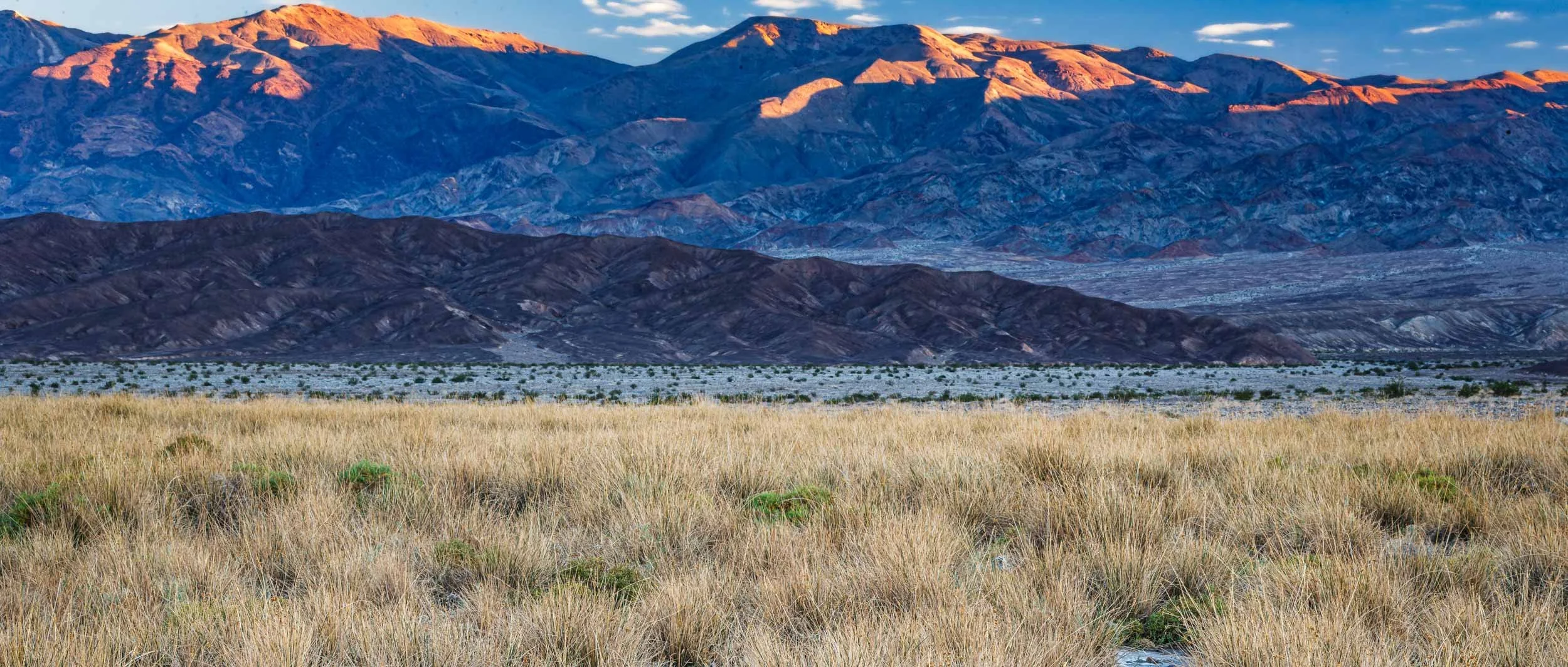 4684-0064-_4DK0471-071105-Doug Coulter-2.jpg