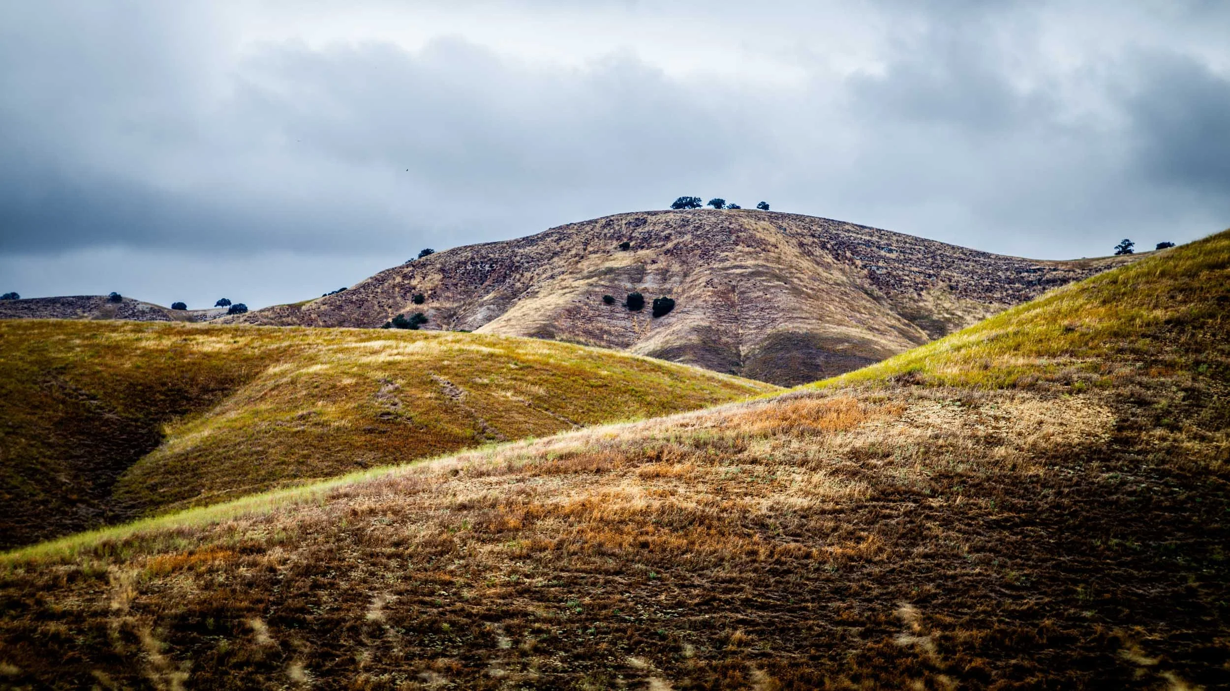 0258-5781-L1008086-230902-Doug Coulter-2-2.jpg