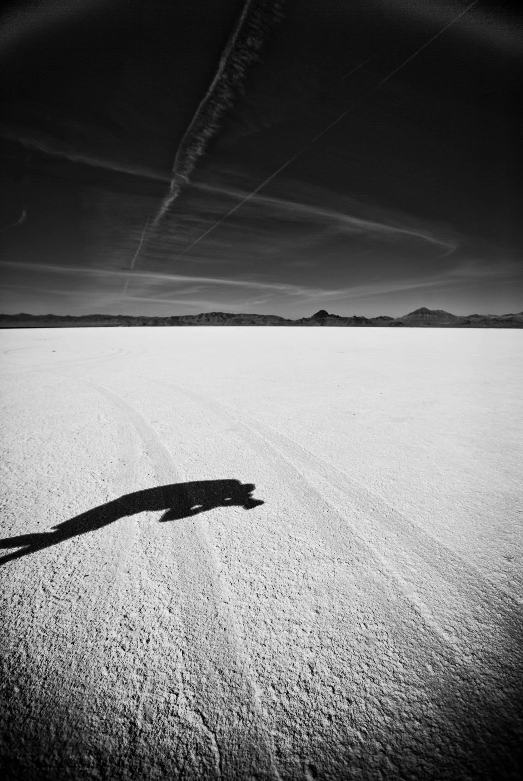 140-1422-2753-3713-180129-DouglasCoulter-180129-Doug Coulter-2.jpg