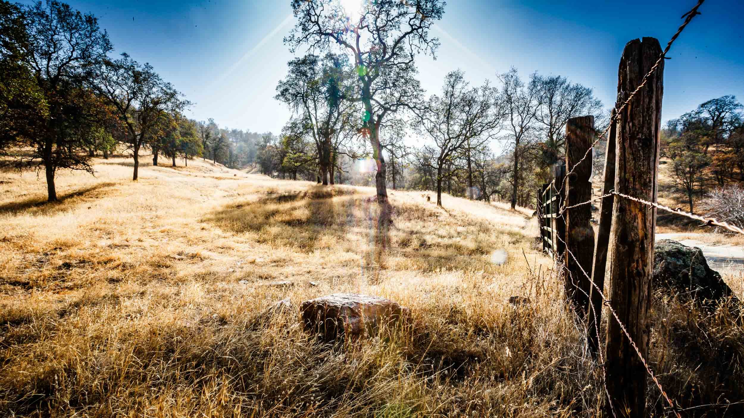 101-465-541-6677-0081-_4DK1279-071107-Doug Coulter-2-2.jpg