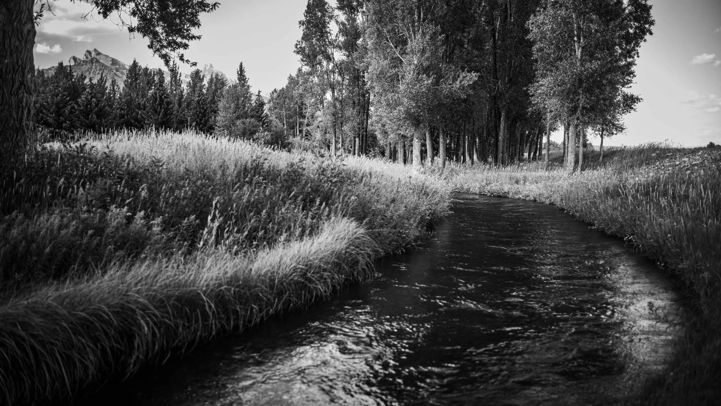 134-584-010-3804-6939-M10M9914-250812-Doug Coulter-2-2.jpg