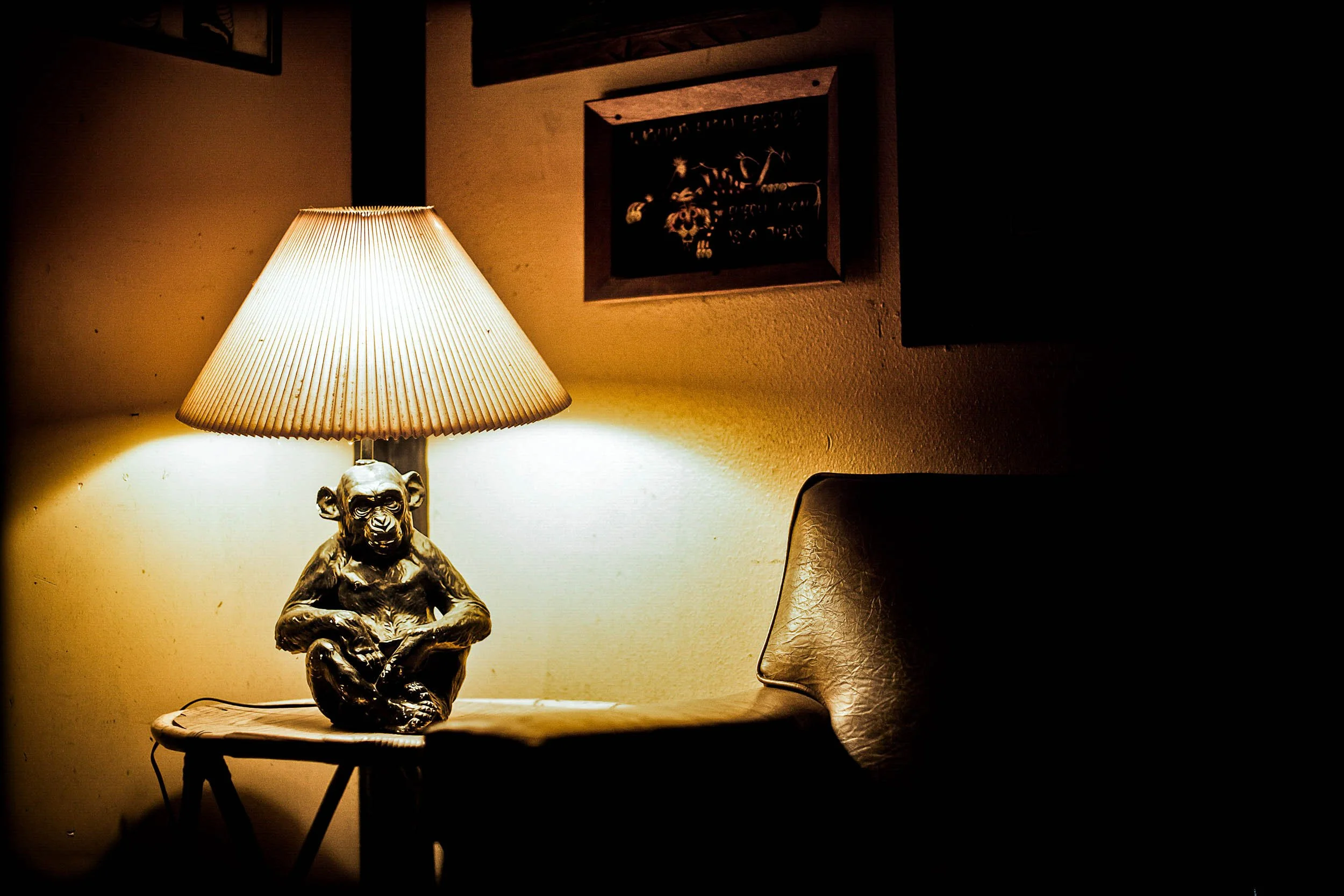 3924-3100-3708-180129-DouglasCoulter-180129-Doug Coulter-2-2.jpg