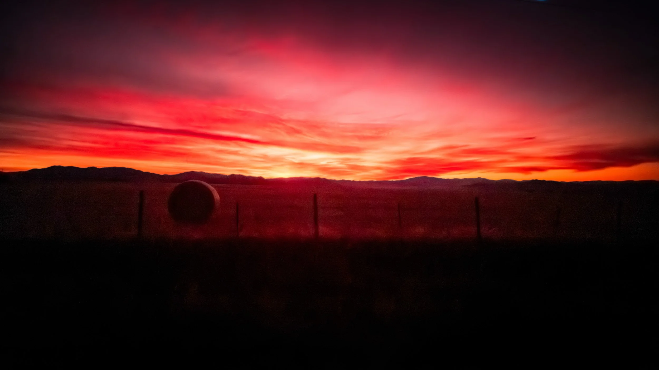 1301-6620-S2490588-240921-Doug Coulter-2-2.jpg