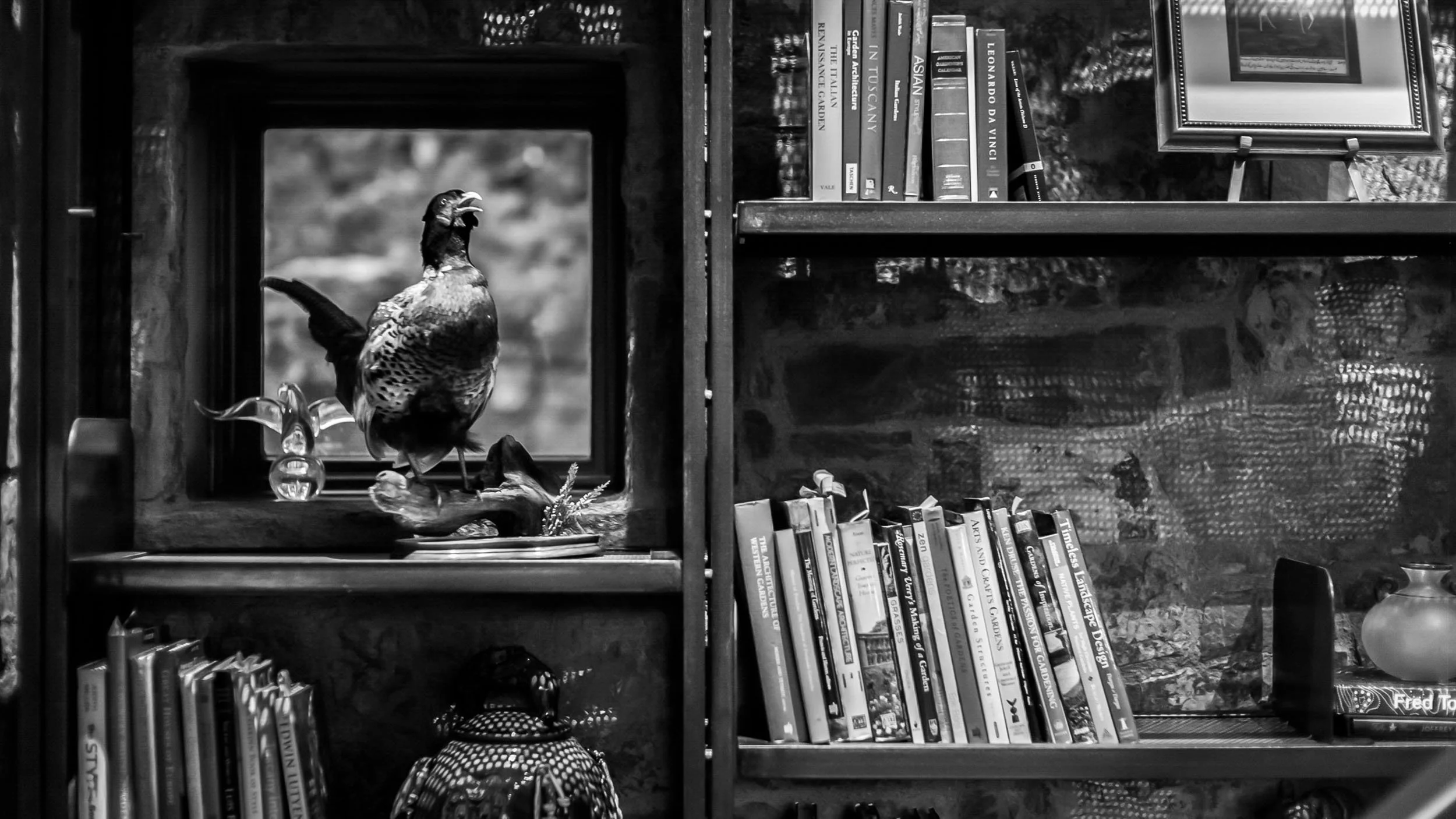 4911-2530-3130-July 25, 2017-1800-170725-Doug Coulter-2-2-2.jpg