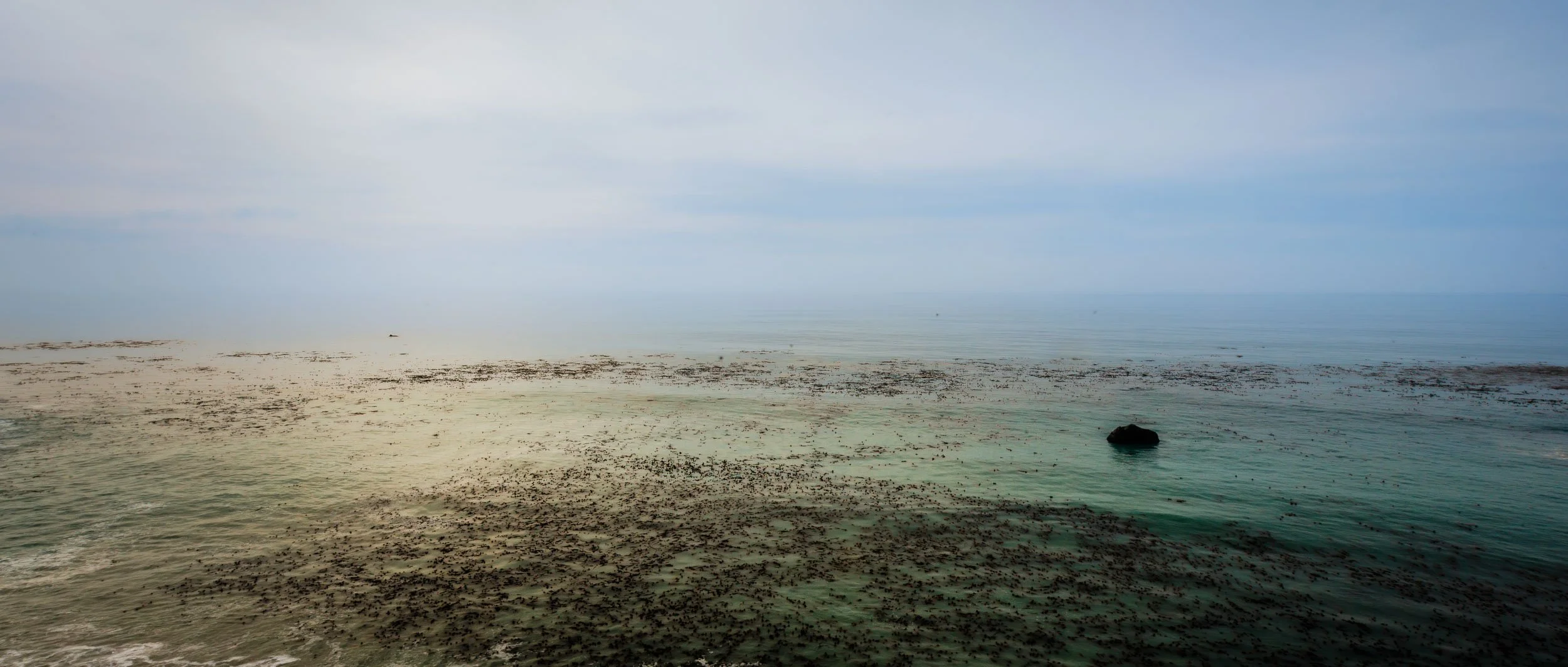 5562-0103-_4DK2508-071109-Doug Coulter-2-2.jpg