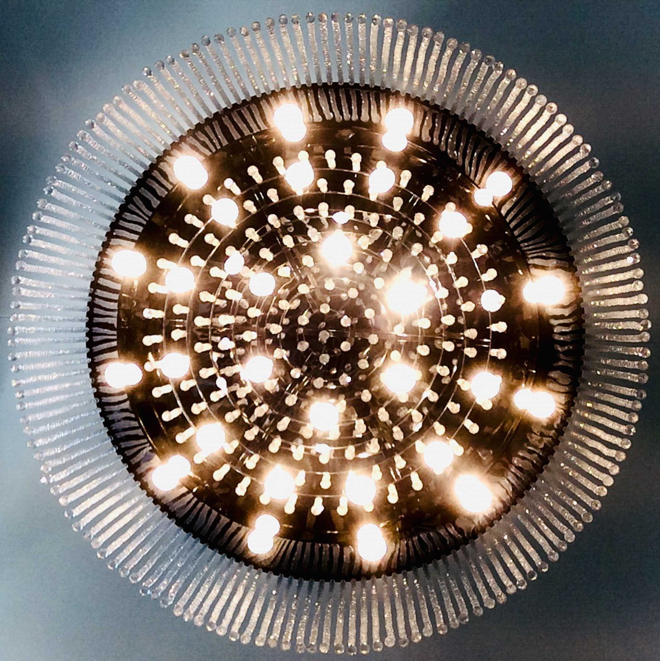 1706-1257-IMG_2506 (1)-141115-Doug Coulter-2.jpg