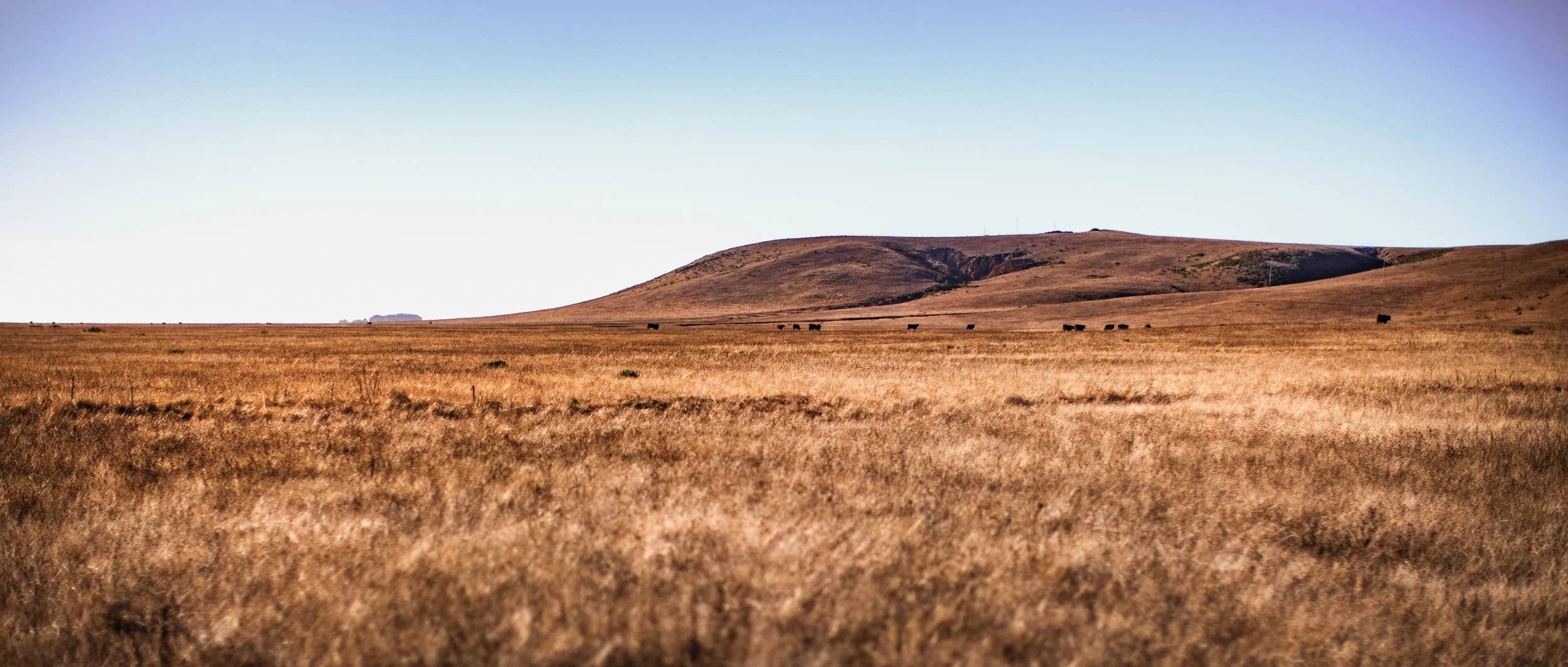 2557-0616-886-110926-DouglasCoulter-110926-Doug Coulter-2-2.jpg