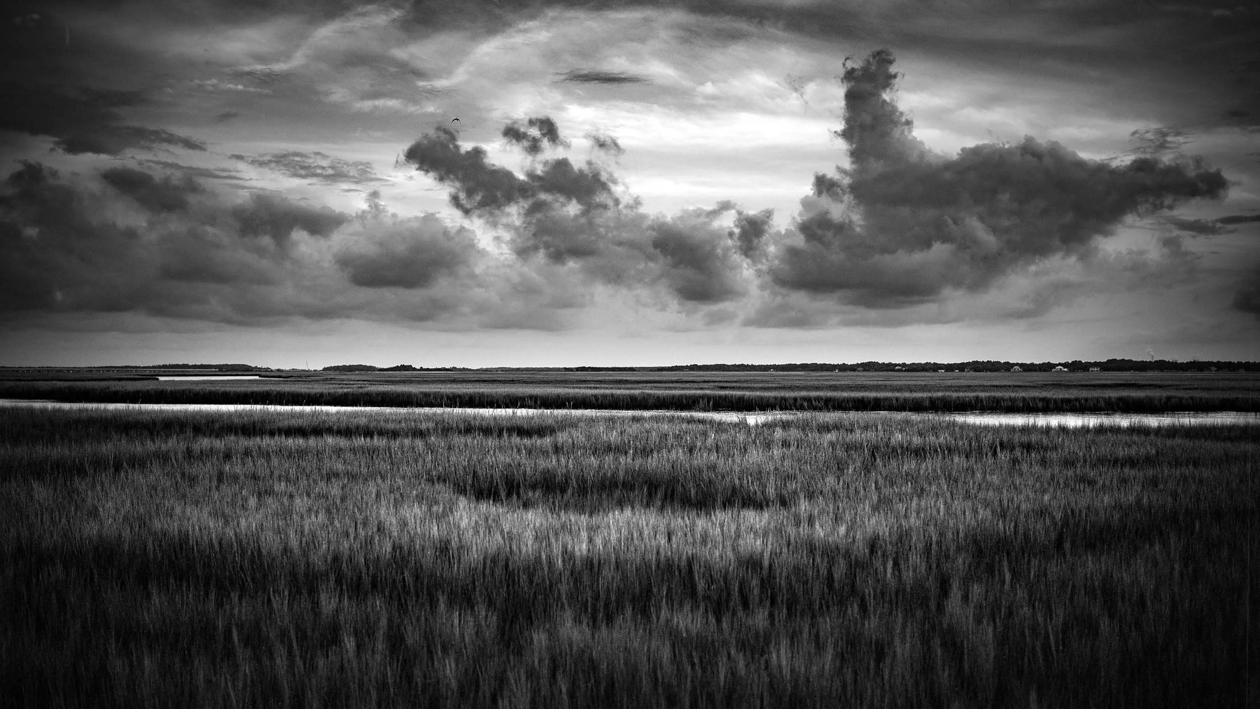 5079-1637-2127-L1030630-150906-Doug Coulter-2.jpg