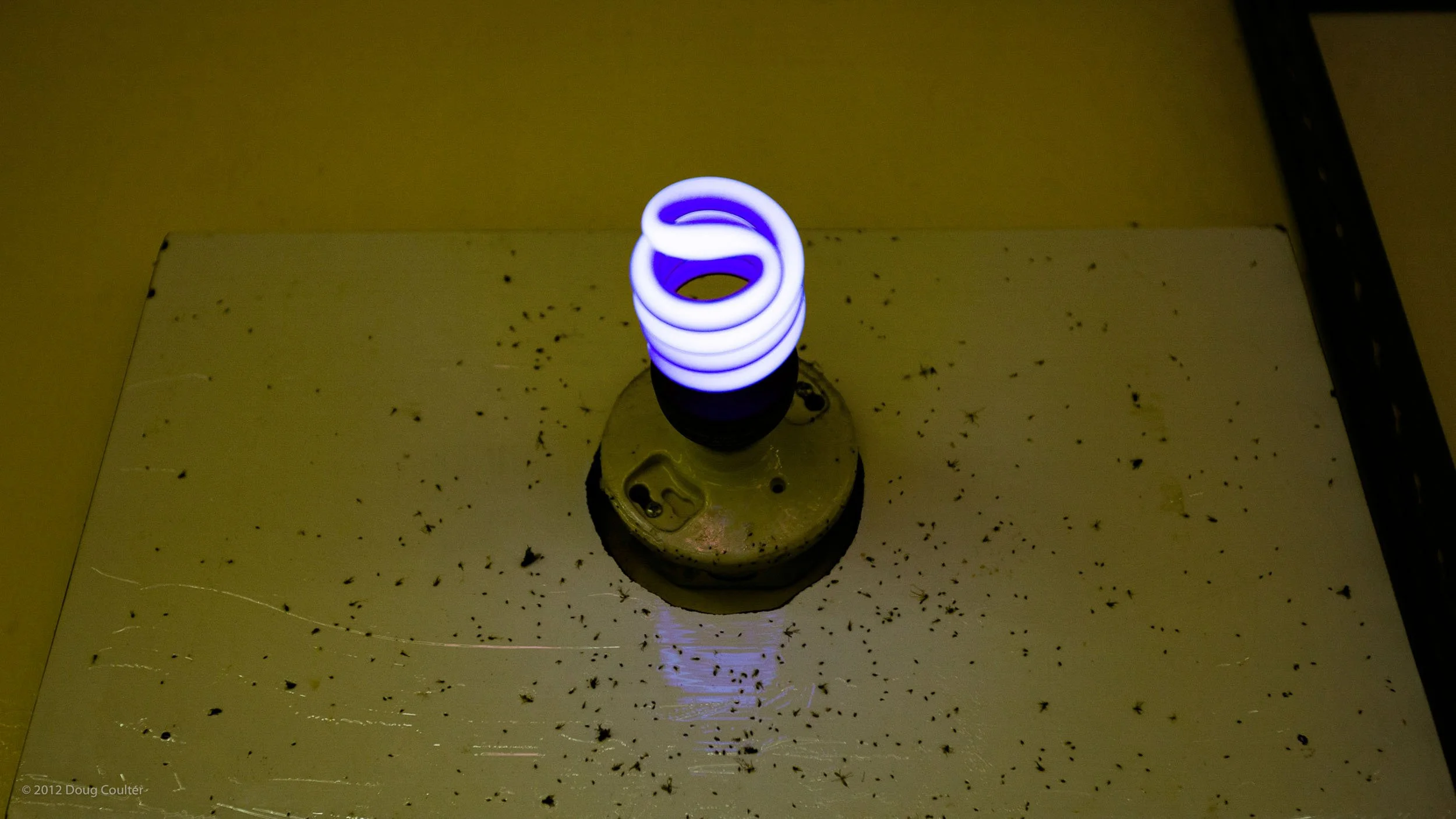 135-1893-0677-954-120222-DouglasCoulter-120222-Doug Coulter.jpg