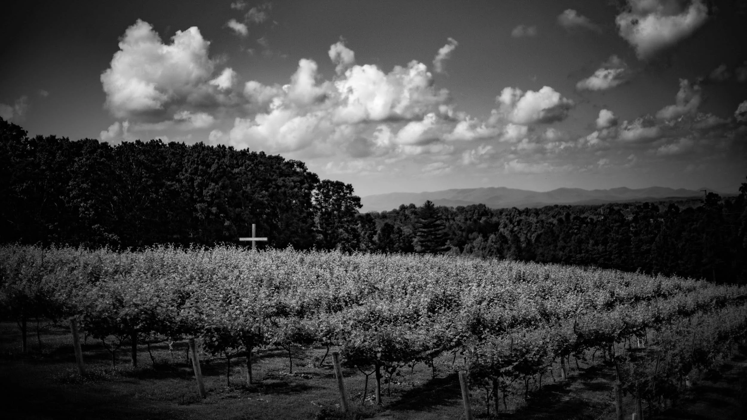 3744-3309-3264-001-1015139-180519-DouglasCoulter-180519-Doug Coulter-2-2.jpg