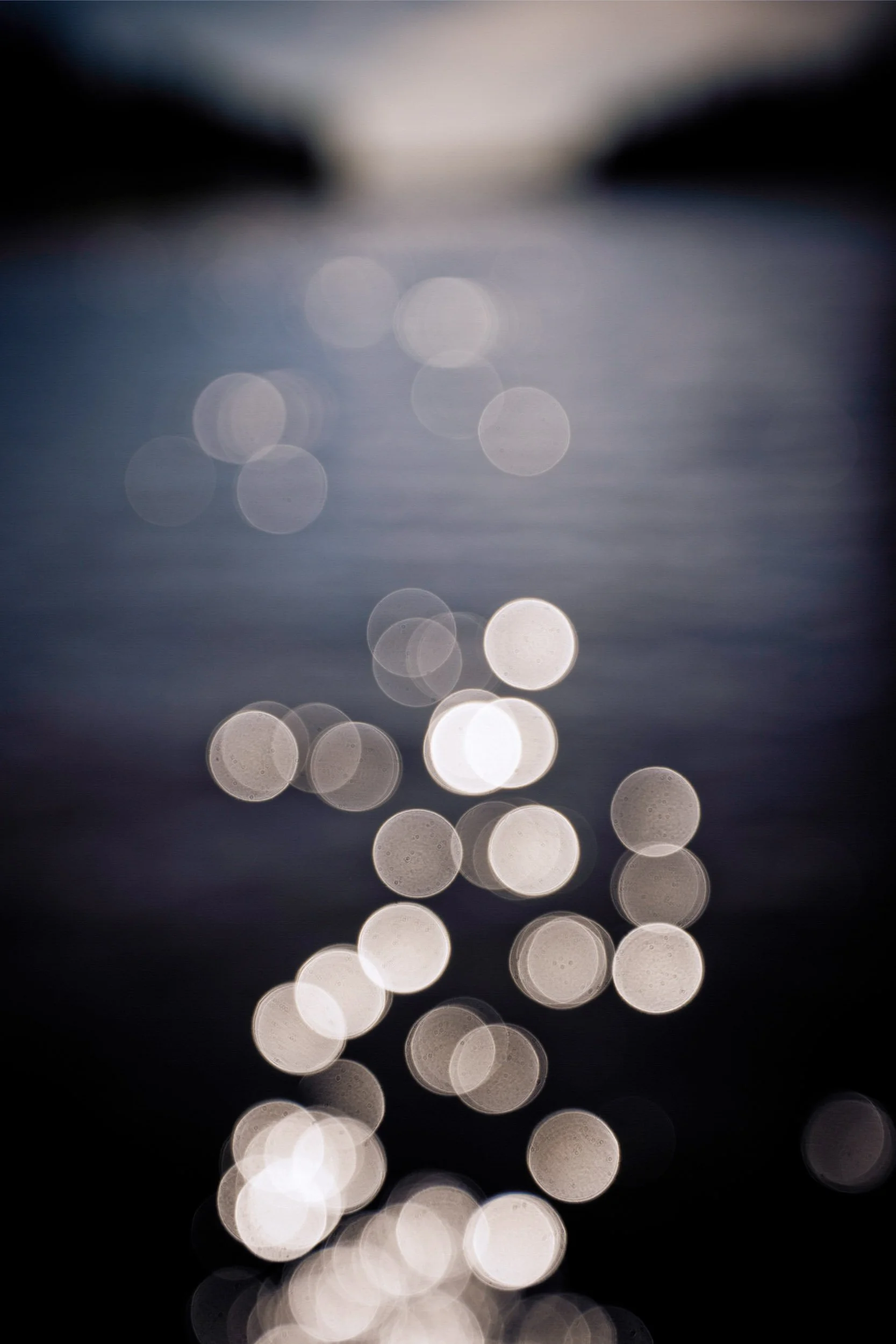 172-320-143-2538-3109-382-LS&S-100-180129-Doug Coulter-2.jpg