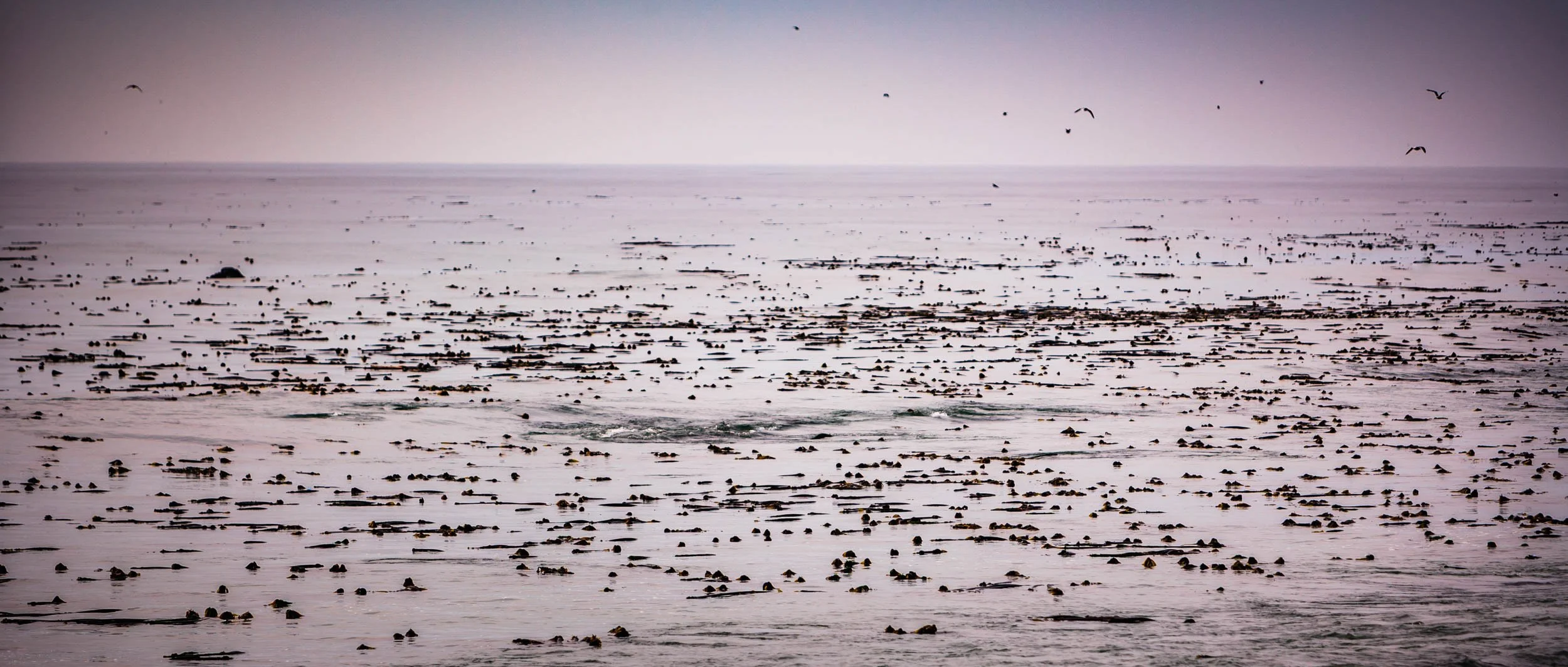 6319-0108-220-_4DK2559-071109-Doug Coulter-2.jpg