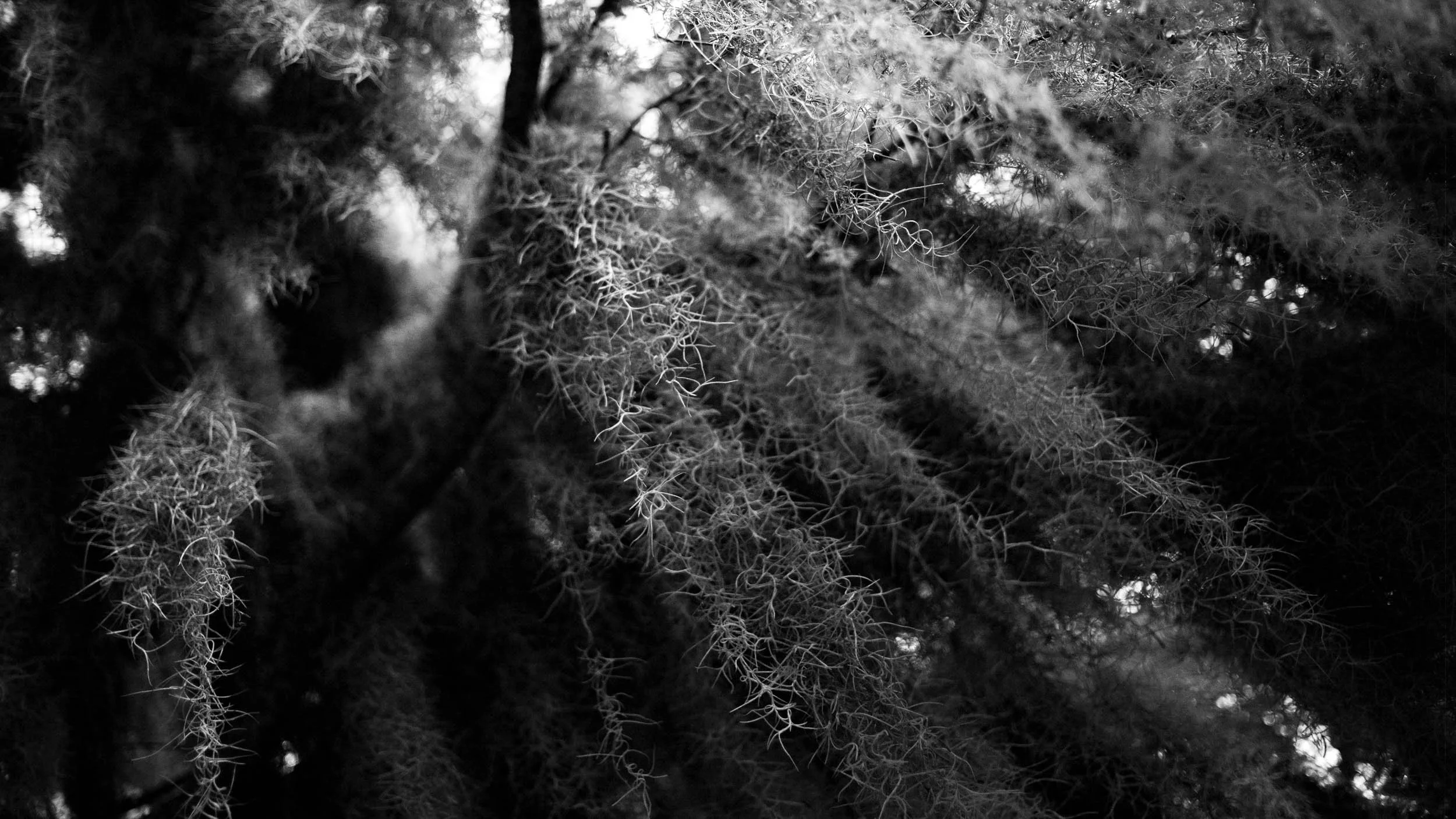 3190-1632-2284-150906-DouglasCoulter-150906-Doug Coulter-2.jpg