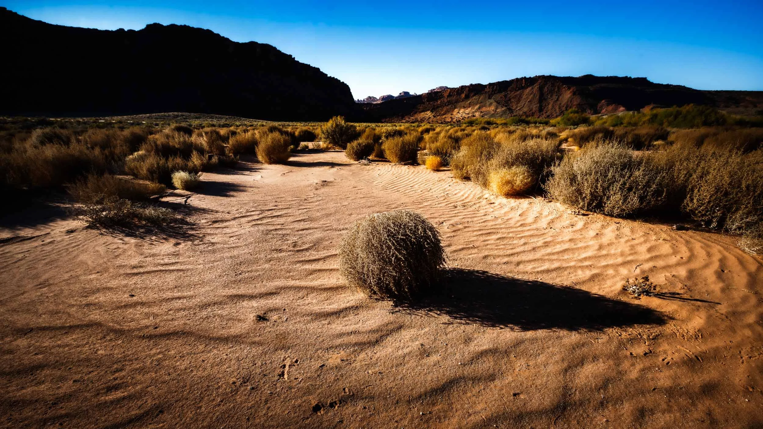 5886-0032-_4DK9853-071104-Doug Coulter-2.jpg