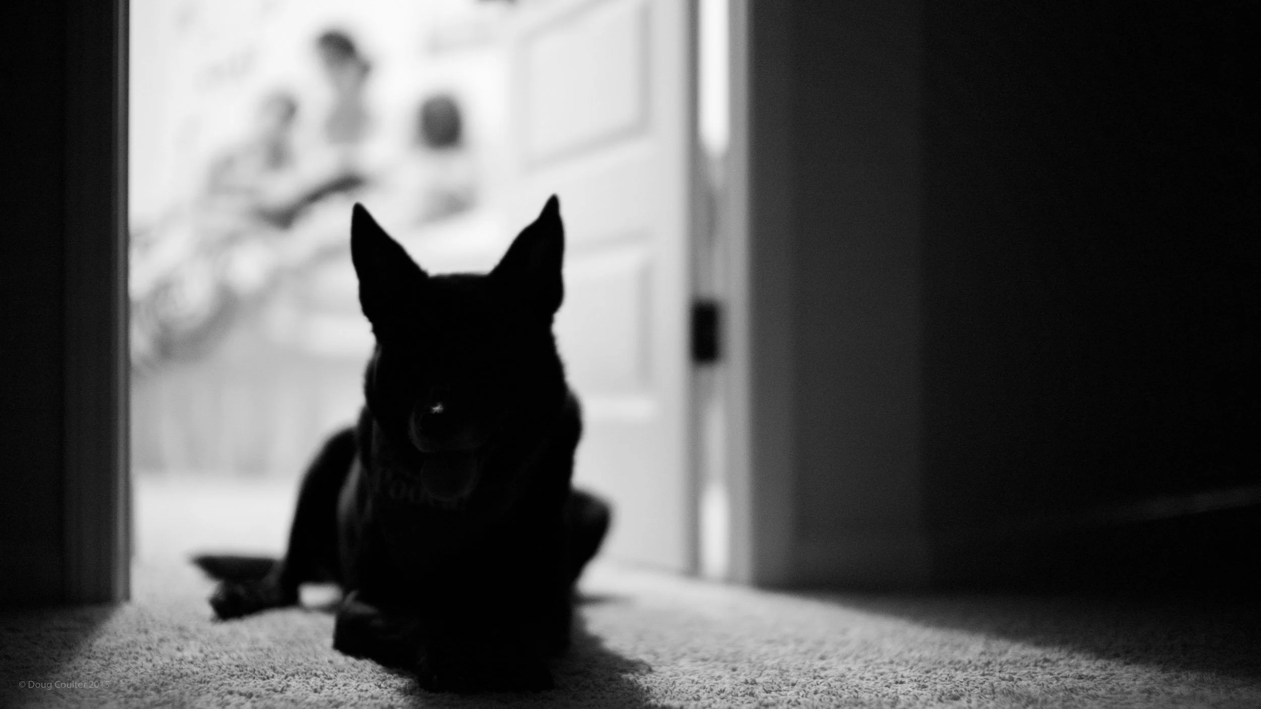 014-3413-1244-1722-L1016157-141008-Doug Coulter.jpg