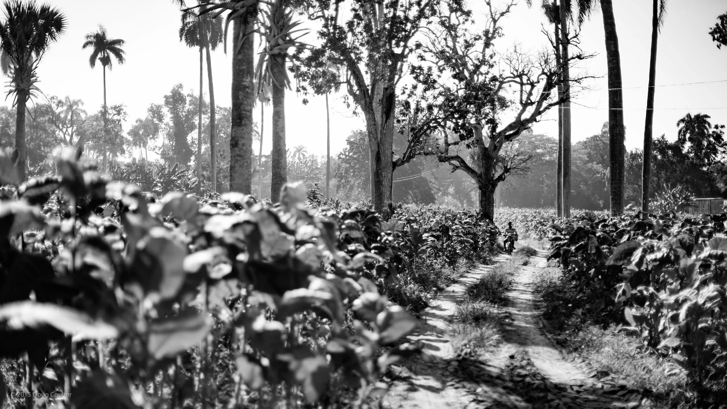 171-3256-0645-922-120220-DouglasCoulter-120220-Doug Coulter.jpg