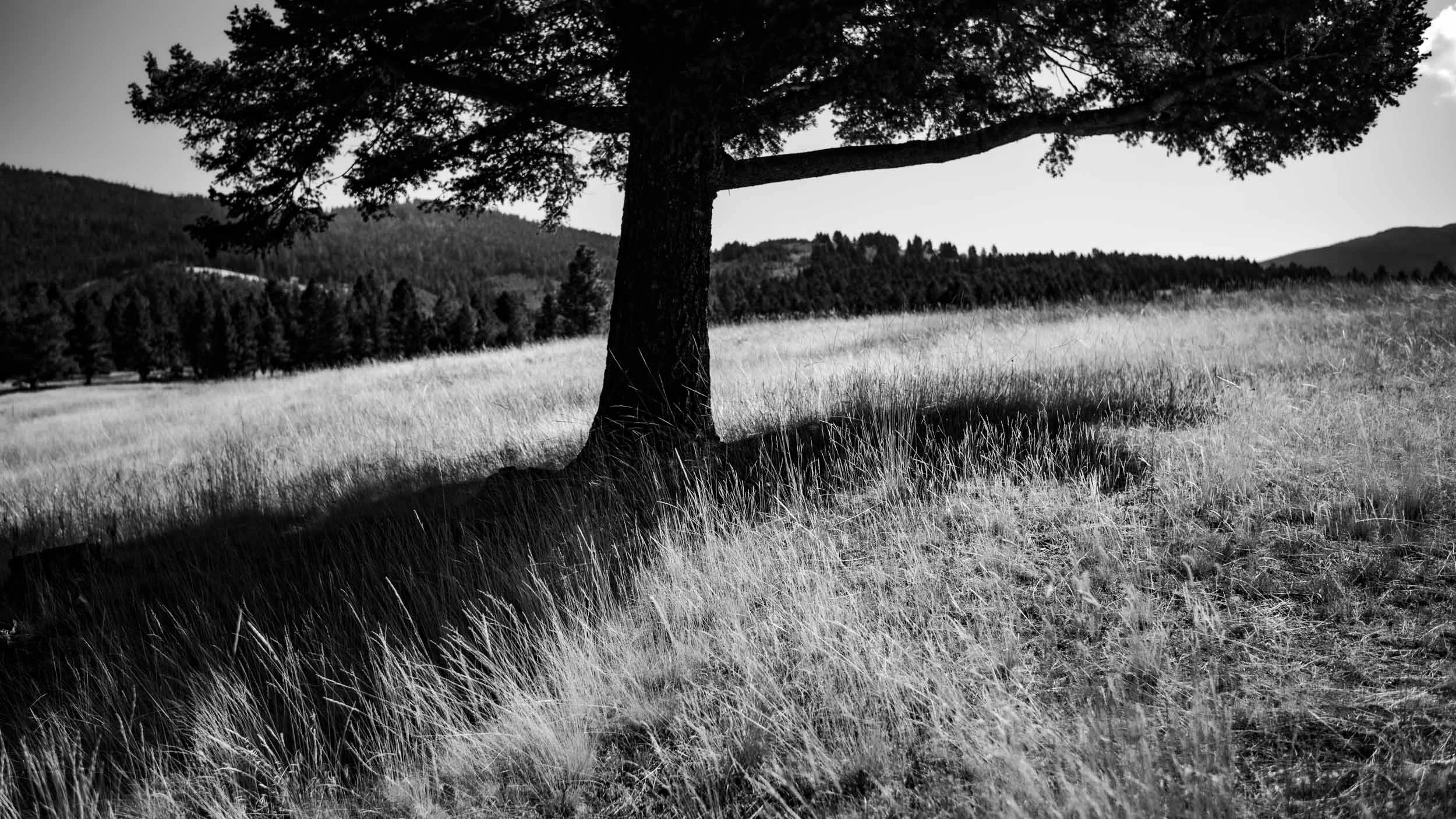 199-044-144-1167-6613-M10M3845-240921-Doug Coulter-2-2.jpg