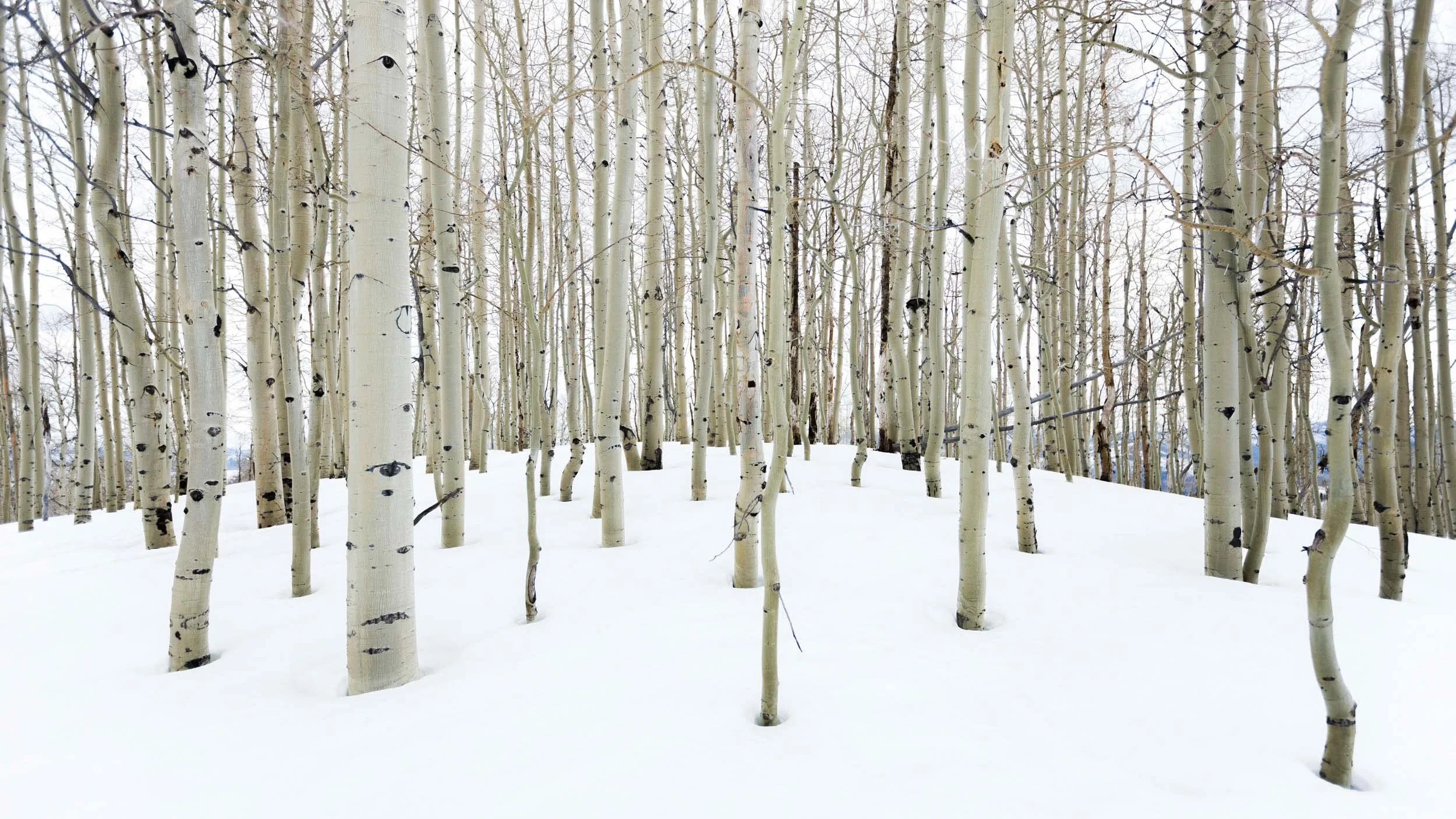 4039-0720-999-120325-DouglasCoulter-120325-Doug Coulter-2.jpg