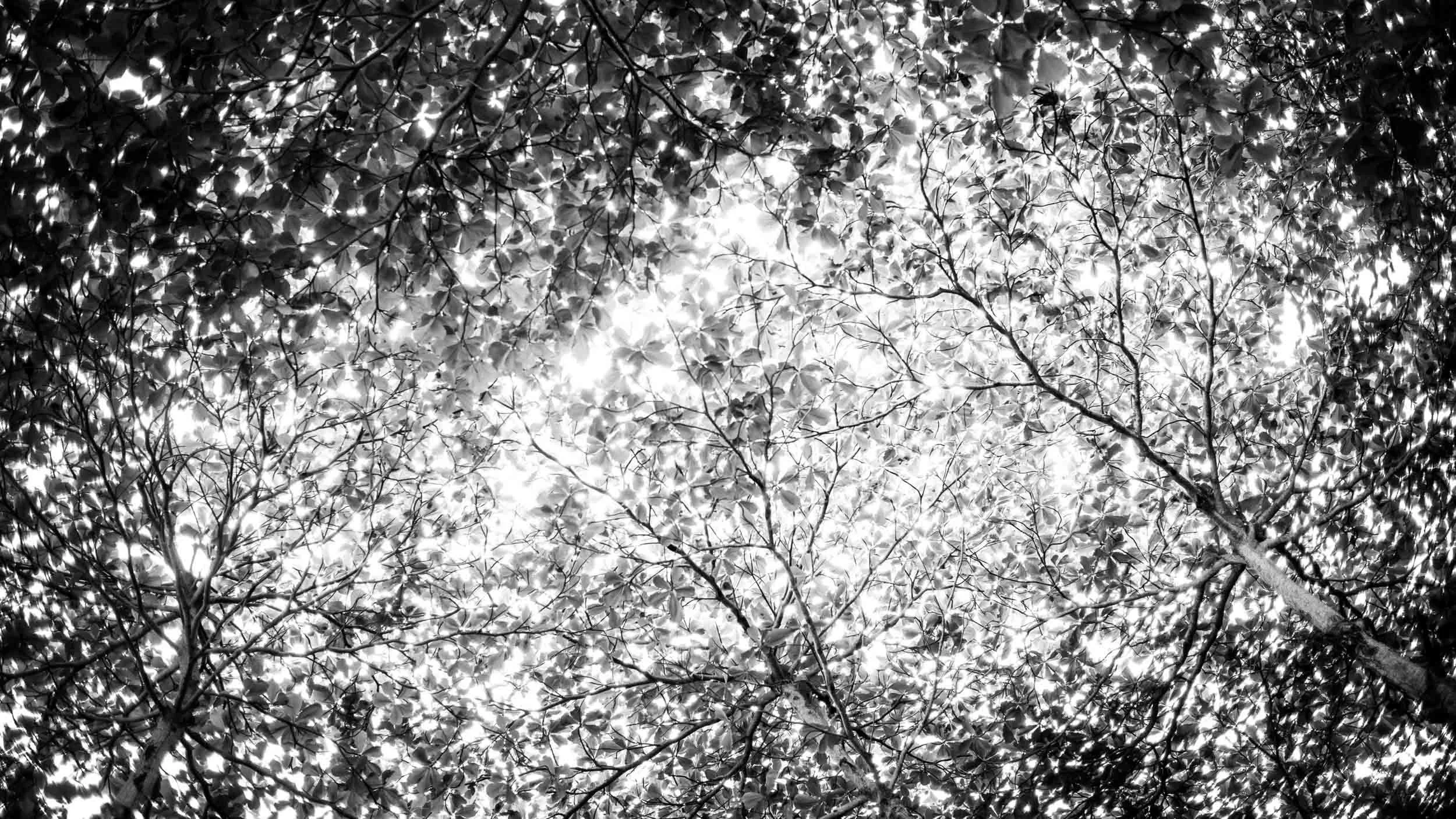 065-301-285-1289-1136-1593-L1012651-140603-Doug Coulter-2.jpg