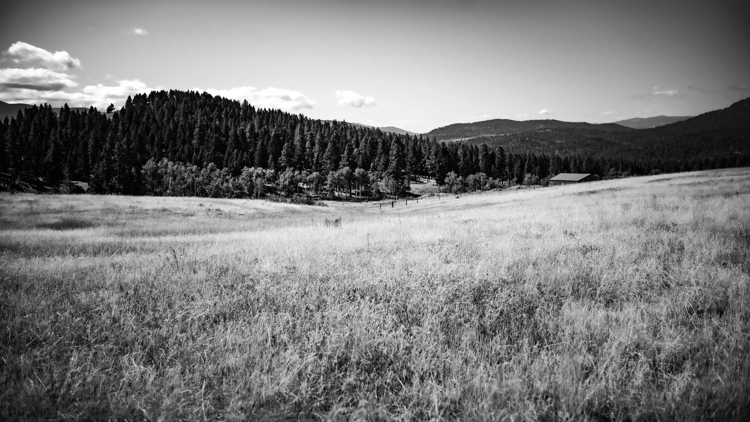 4219-6614-M10M3847-240921-Doug Coulter-2-2.jpg