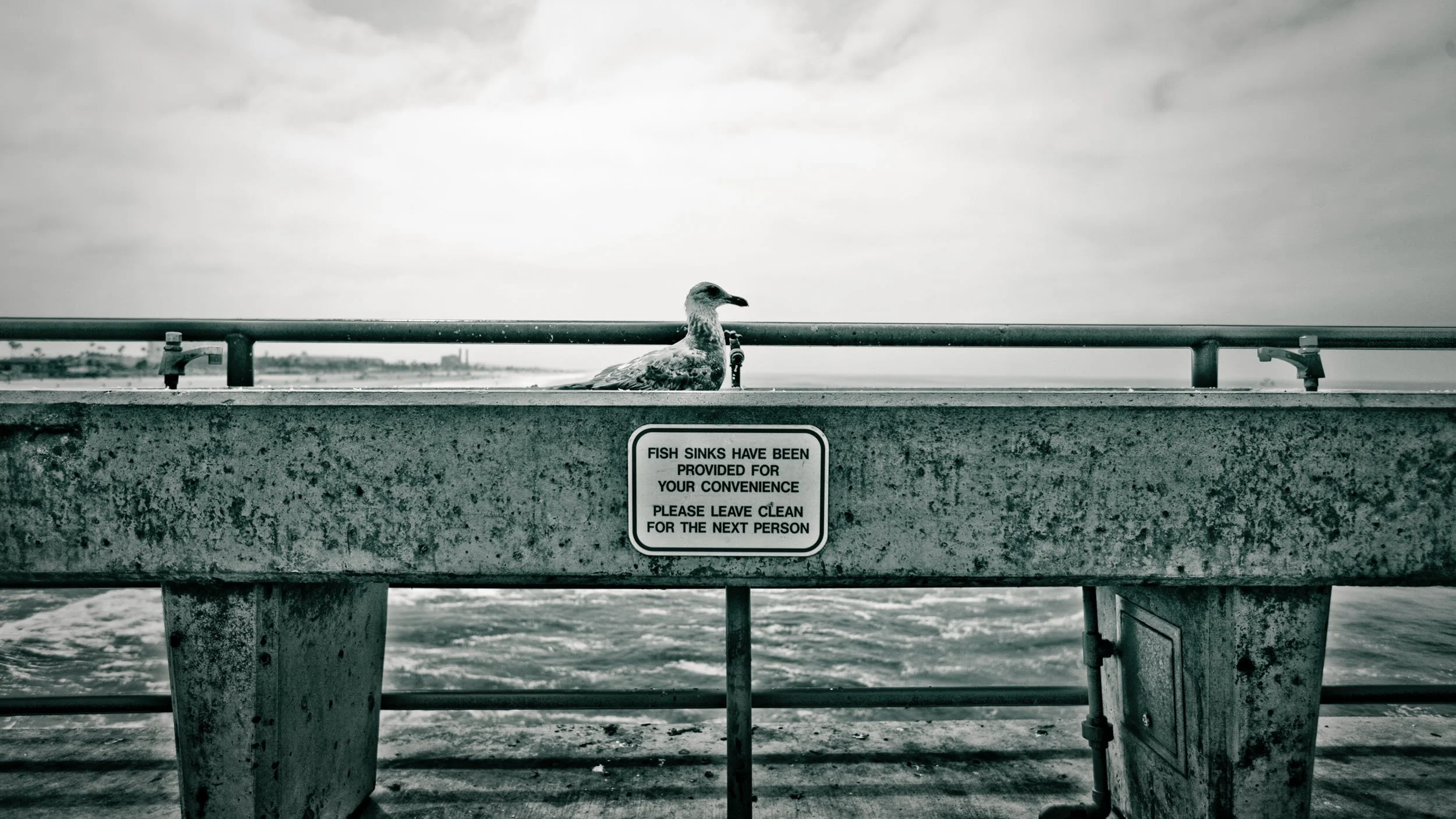 150-кусочек жизни-314.jpg