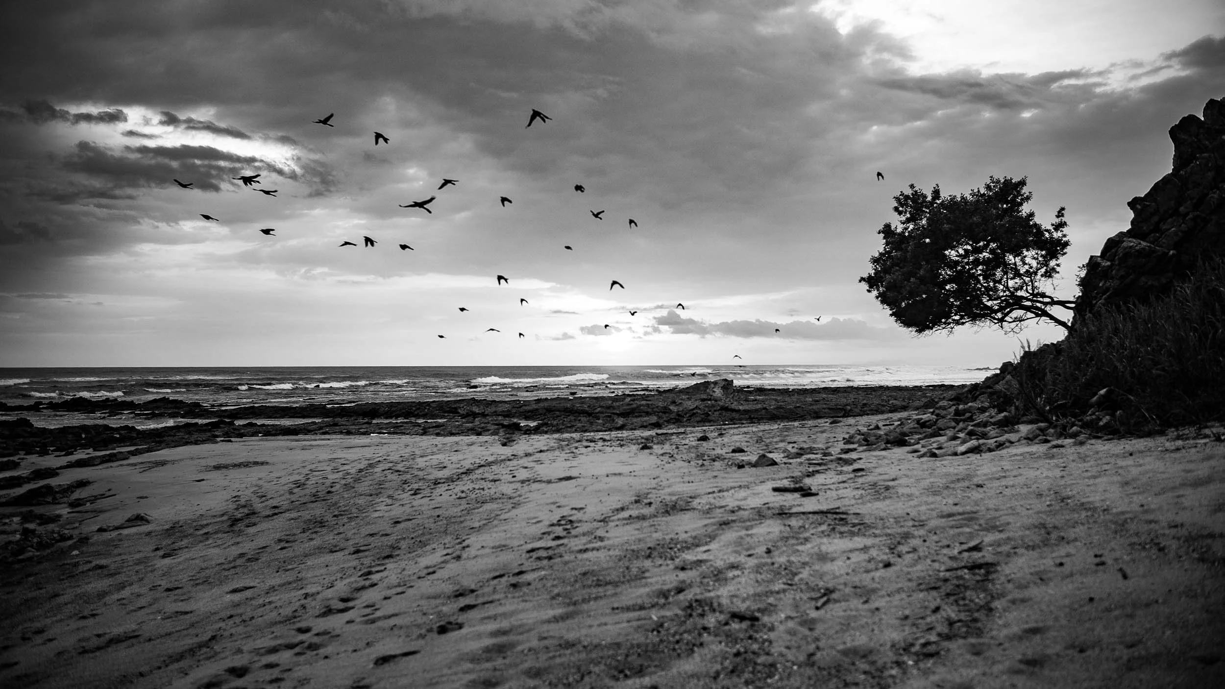 4536-1182-1636-L1012872-140608-Doug Coulter-2.jpg