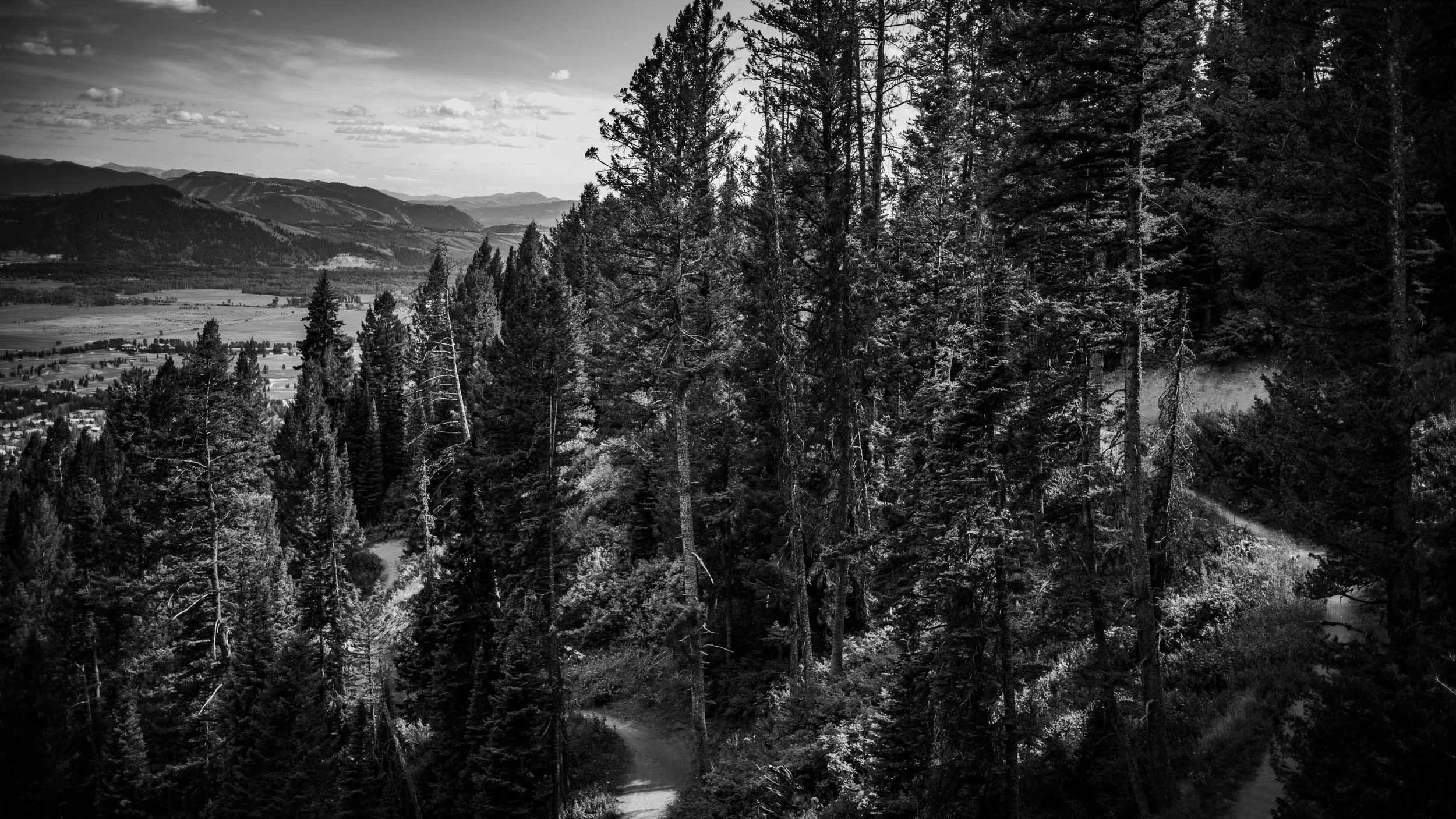 5421-6907-M10M8652-250811-Doug Coulter-2-2.jpg