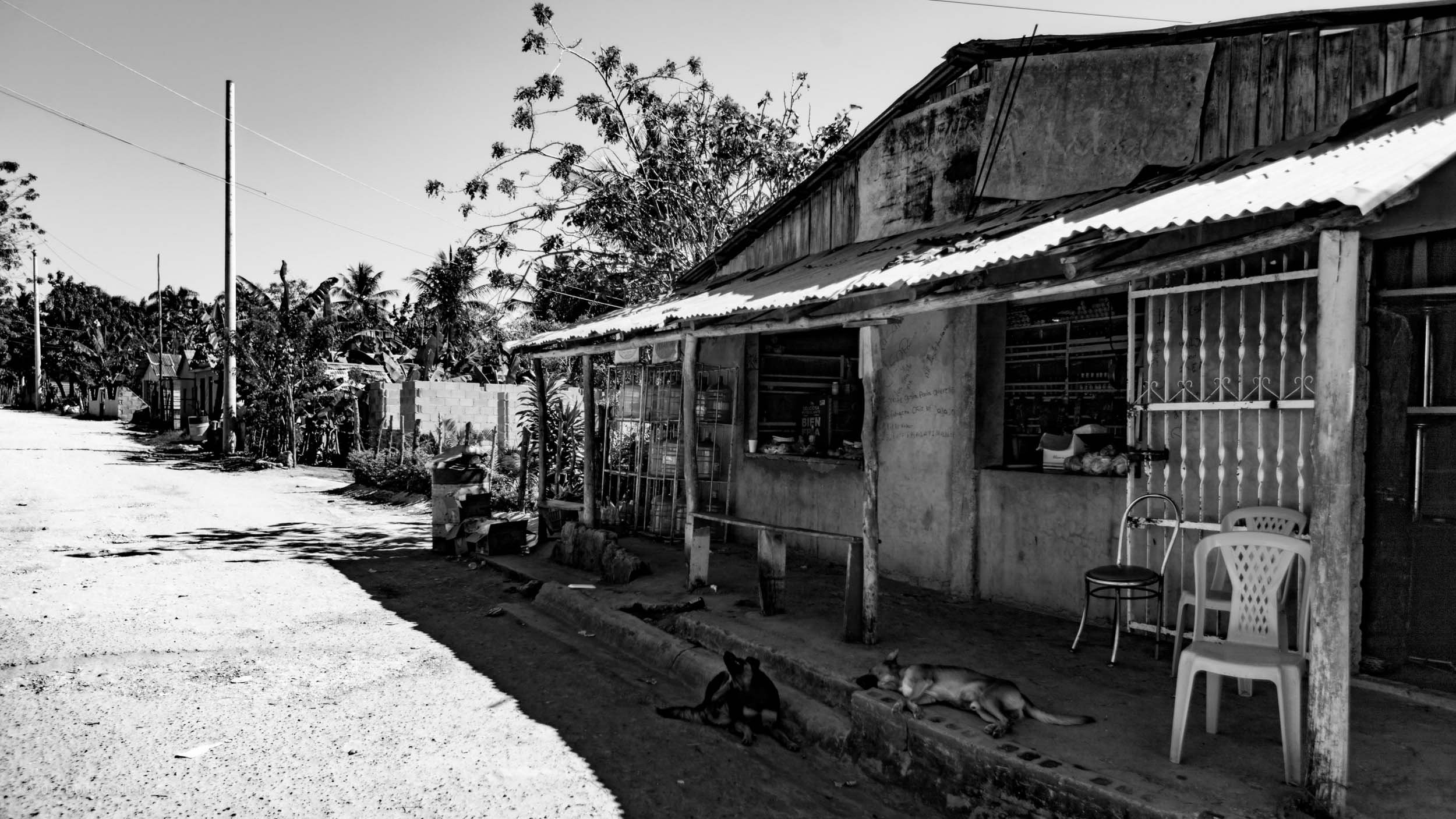 042-1650-0655-932-120220-DouglasCoulter-120220-Doug Coulter.jpg