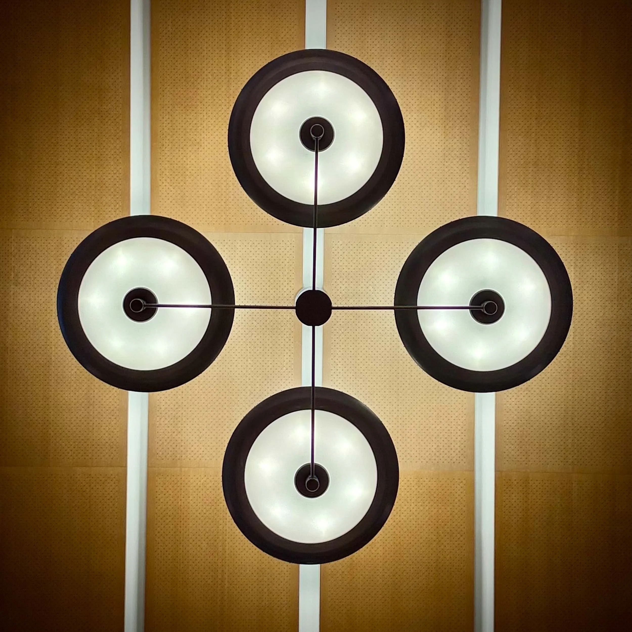 3176-6981-IMG_2550 (Doug Coulter's conflicted copy)-250826-Doug Coulter-2.jpg