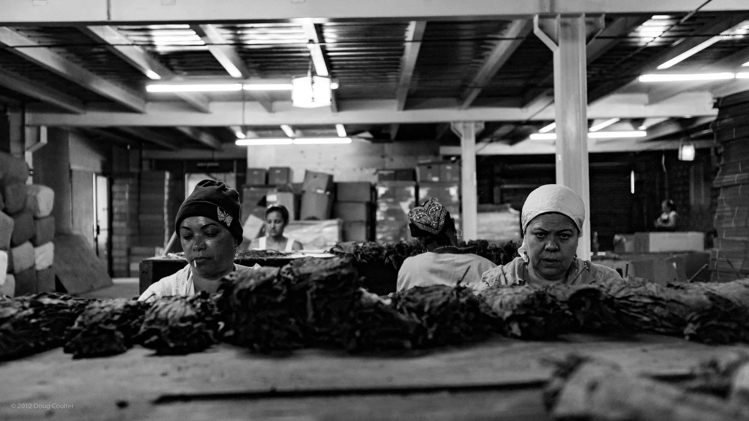 158-5904-0651-1073-_DCP6944-120220-Doug Coulter.jpg