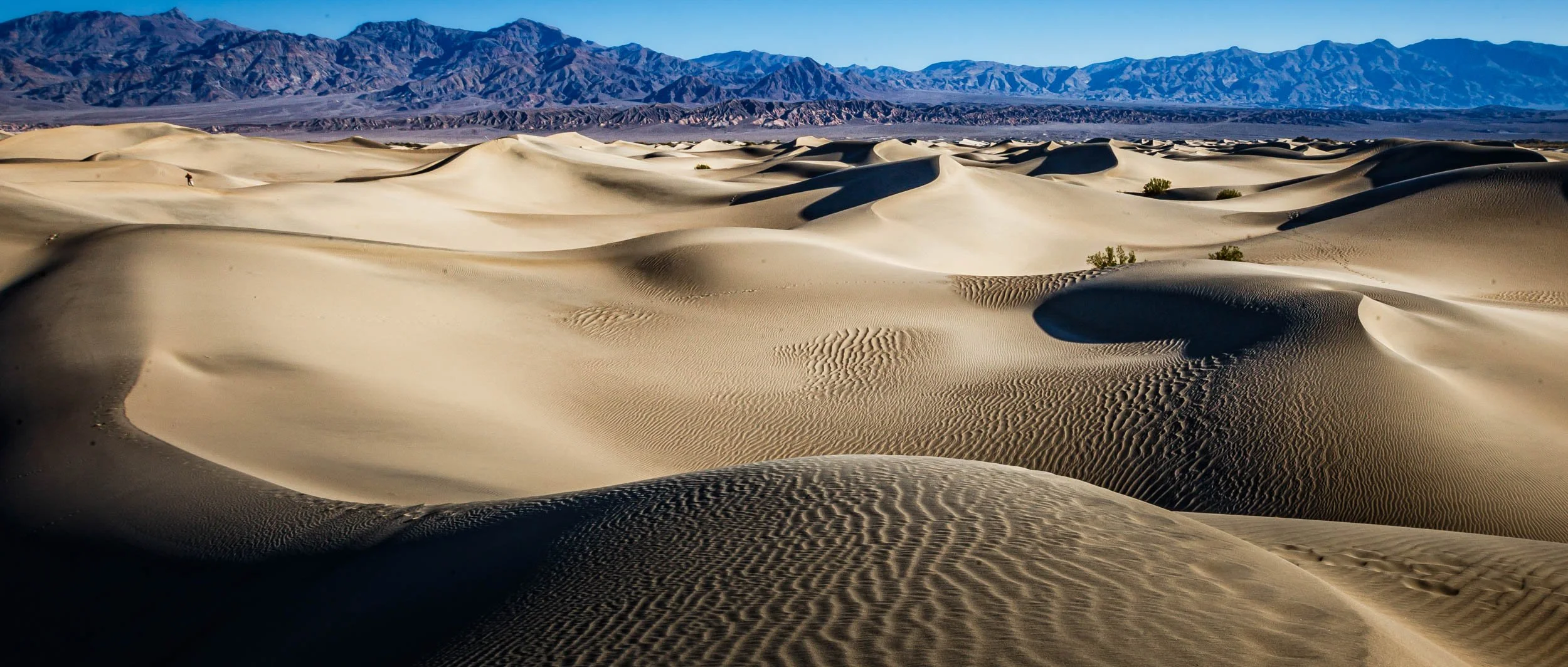 0948-0068-_4DK0634-071106-Doug Coulter-2-2.jpg